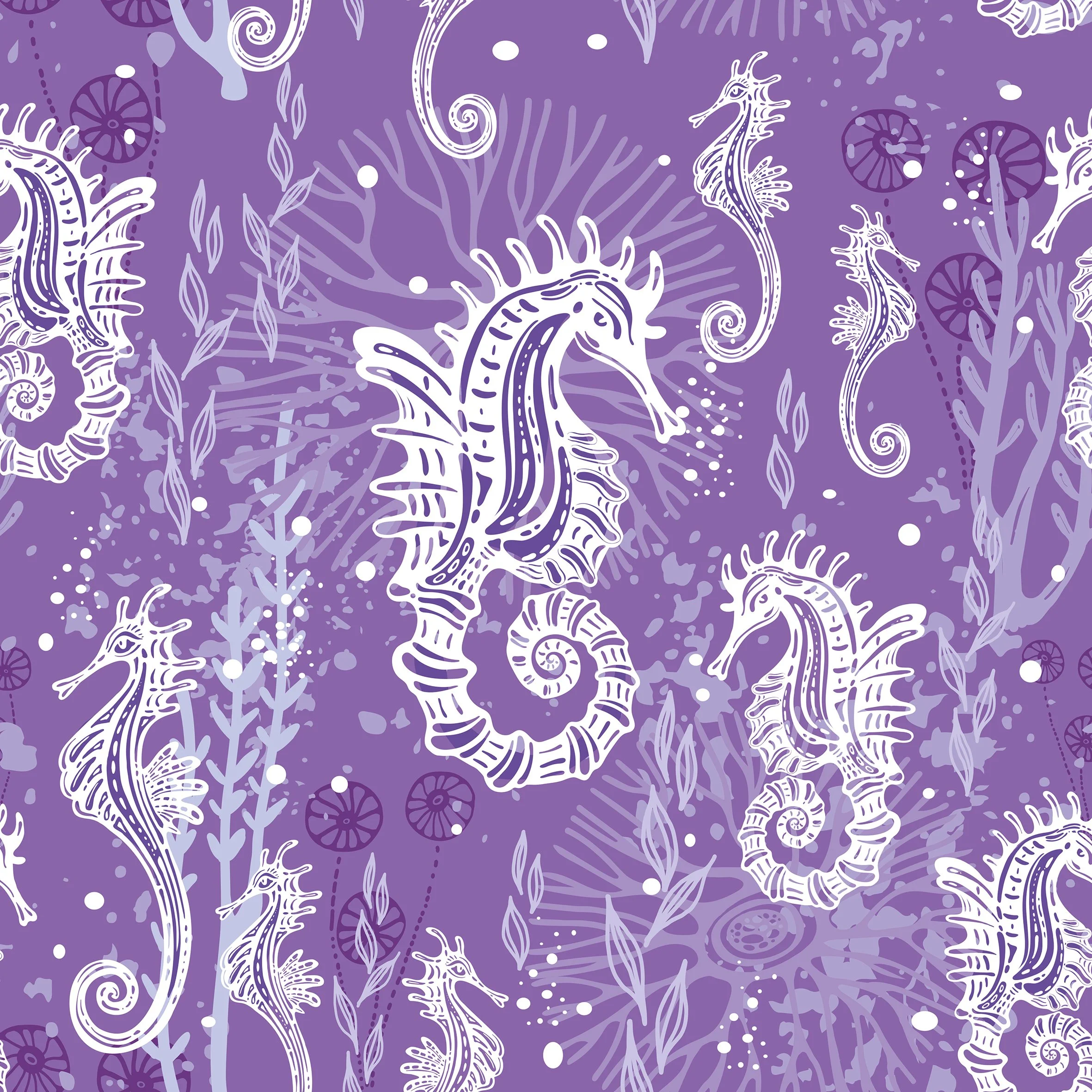 Seahorses, Purple
