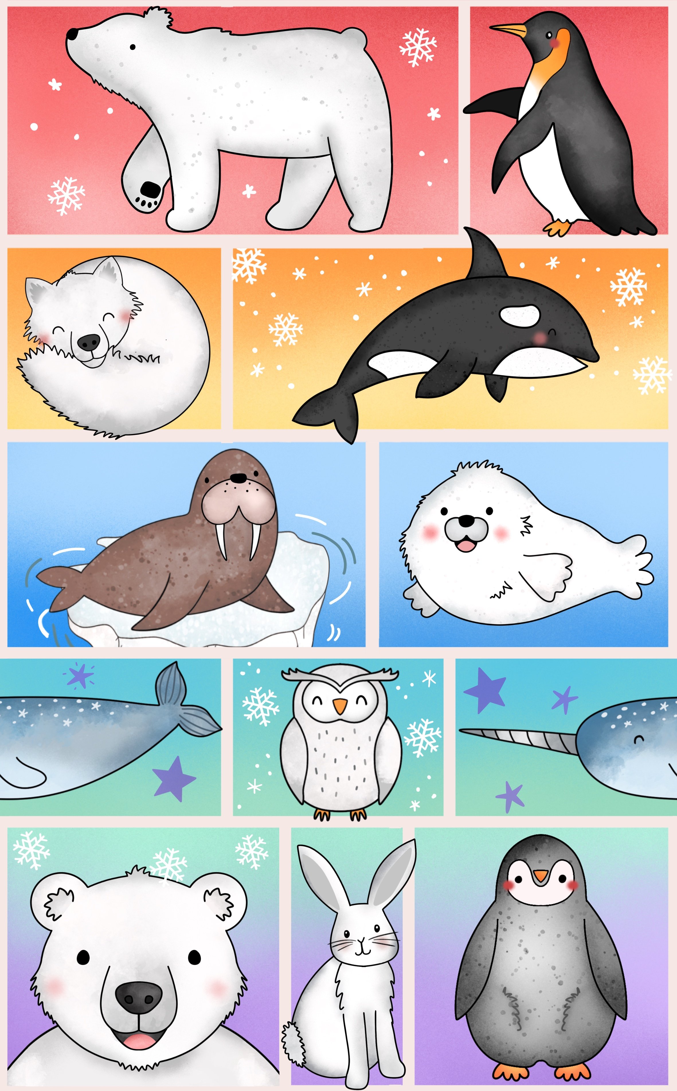 Artic Animals