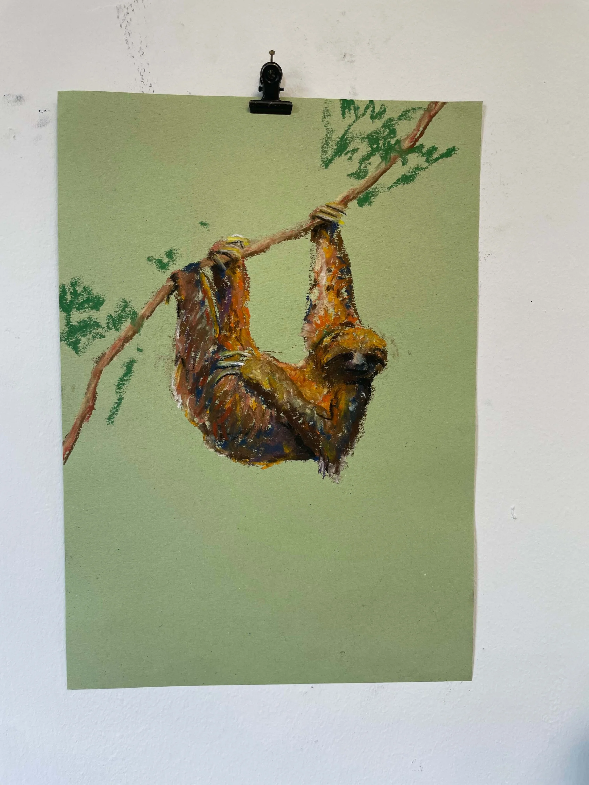 chalk pastel challenge 41 sloth kayleigh mccallum 1.jpeg