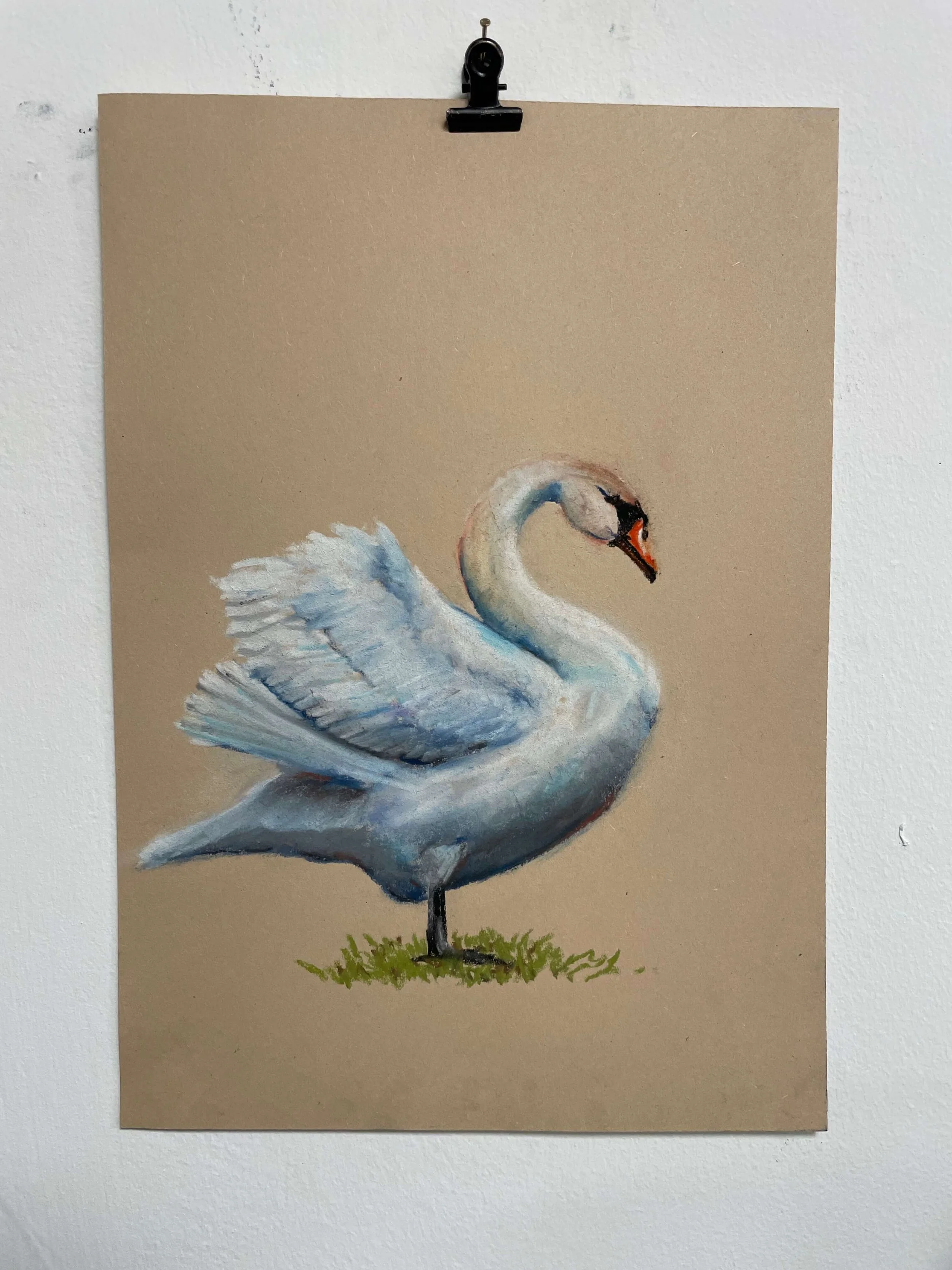 chalk pastel challenge 36 swan kayleigh mccallum 1.jpeg