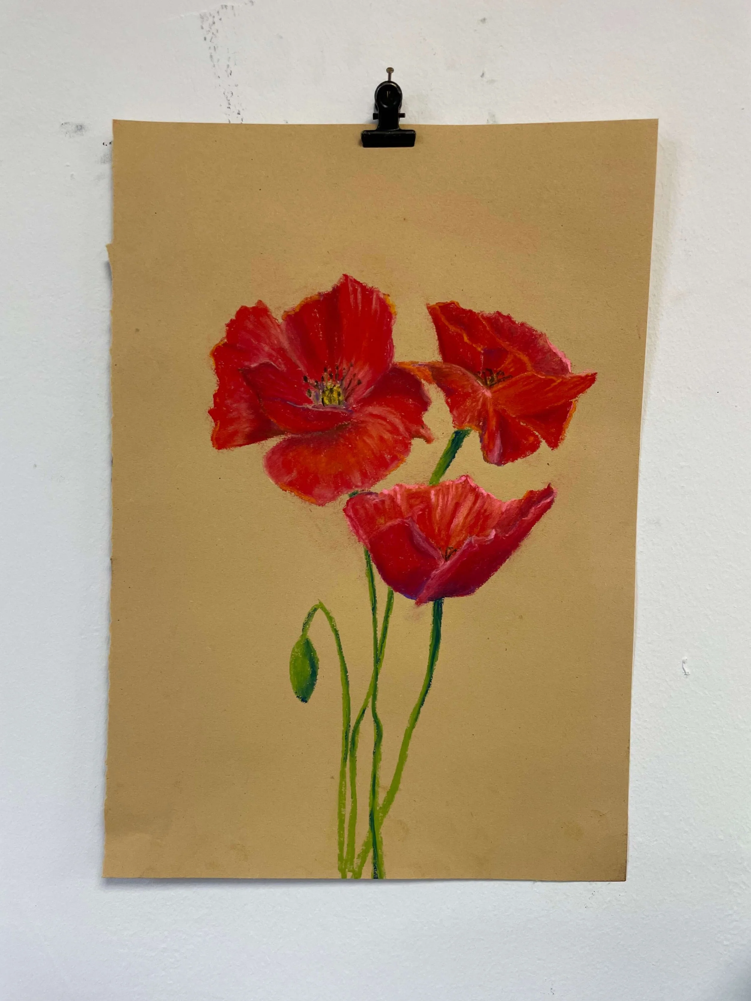 chalk pastel challenge 22 poppies kayleigh mccallum 1.jpeg