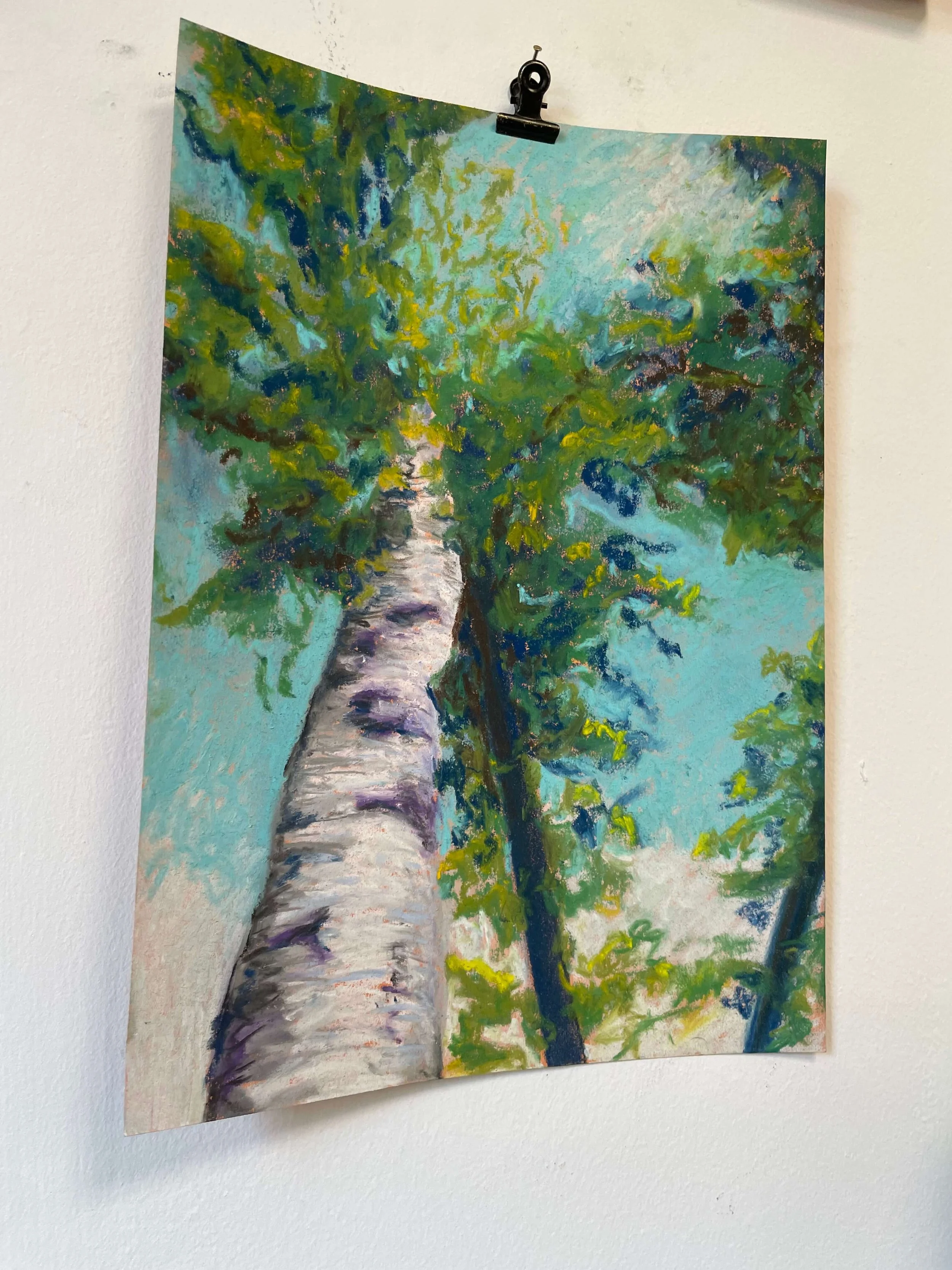 chalk pastel challenge 42 tree kayleigh mccallum 2.jpeg