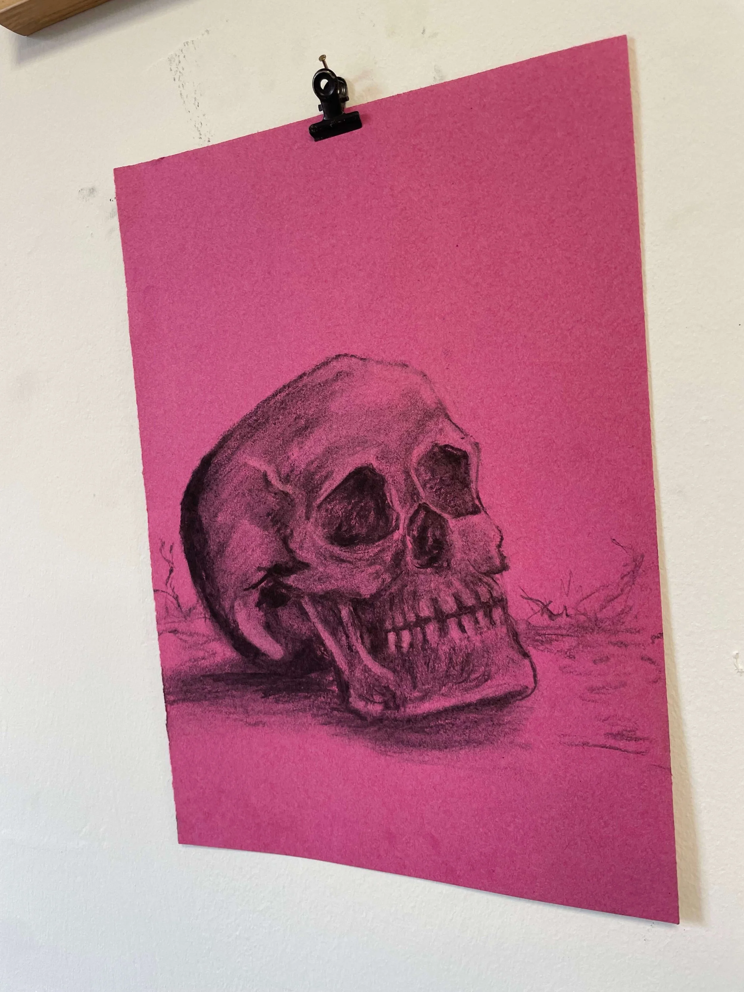 chalk pastel challenge 29 skull kayleigh mccallum 3.jpeg