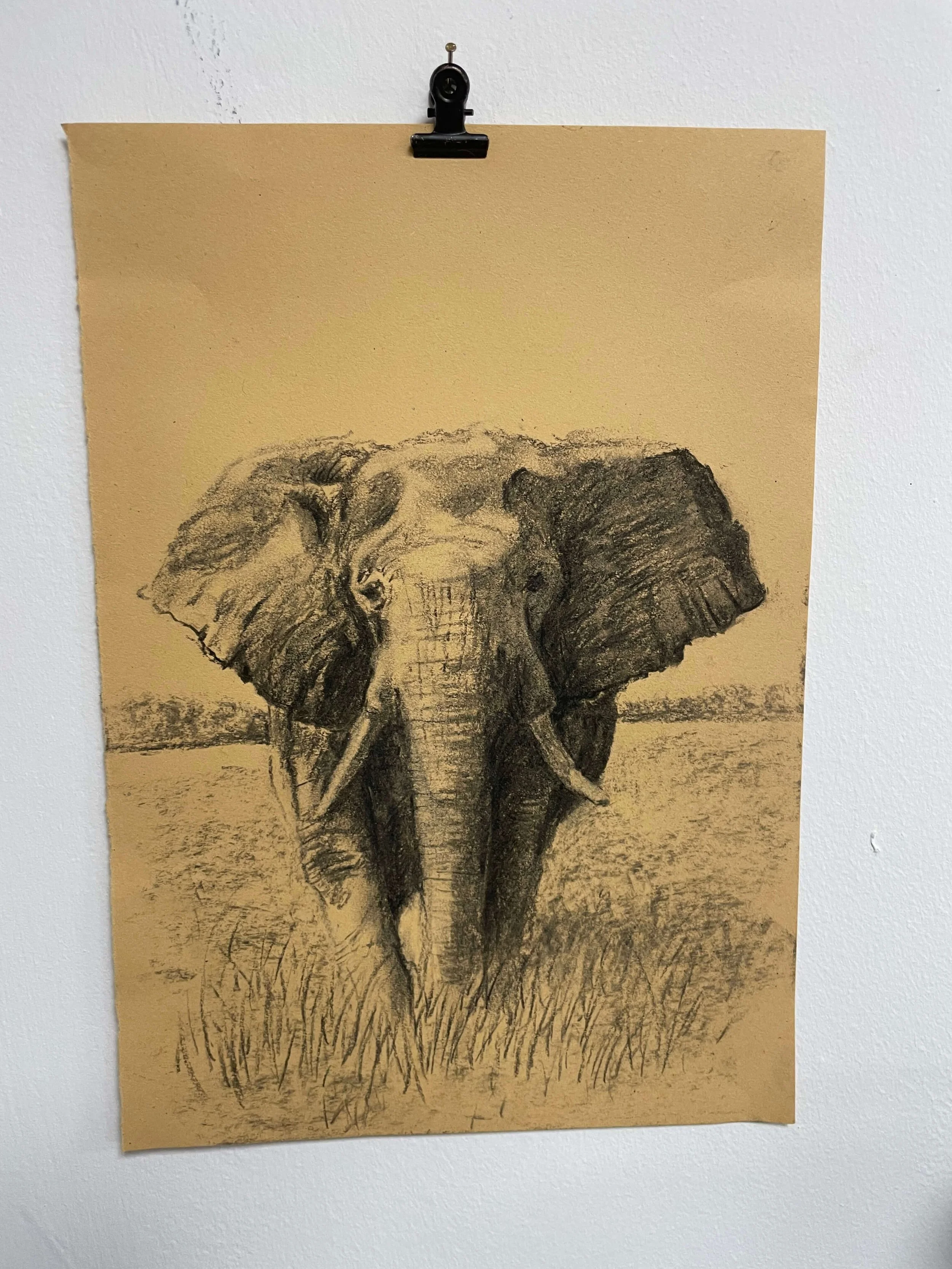 chalk pastel challenge 4 elephant kayleigh mccallum 2.jpeg
