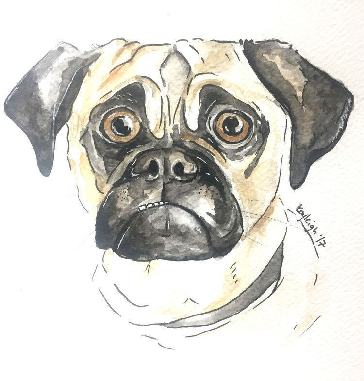 kayleigh_mccallum-paint_my_dug_dog_portrait_frenchbulldog_pug.jpg