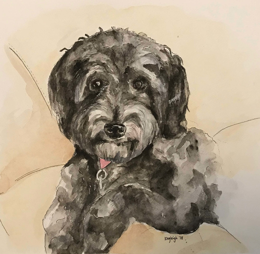 labradoodle+kayleigh+mccallum+paint+my+dug+pet+portrait.jpg