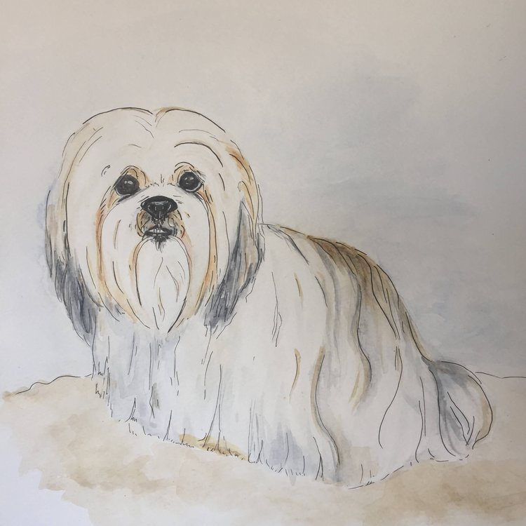 muffin_kayleigh_mccallum_paint_my_dug_pet_portrait.jpg