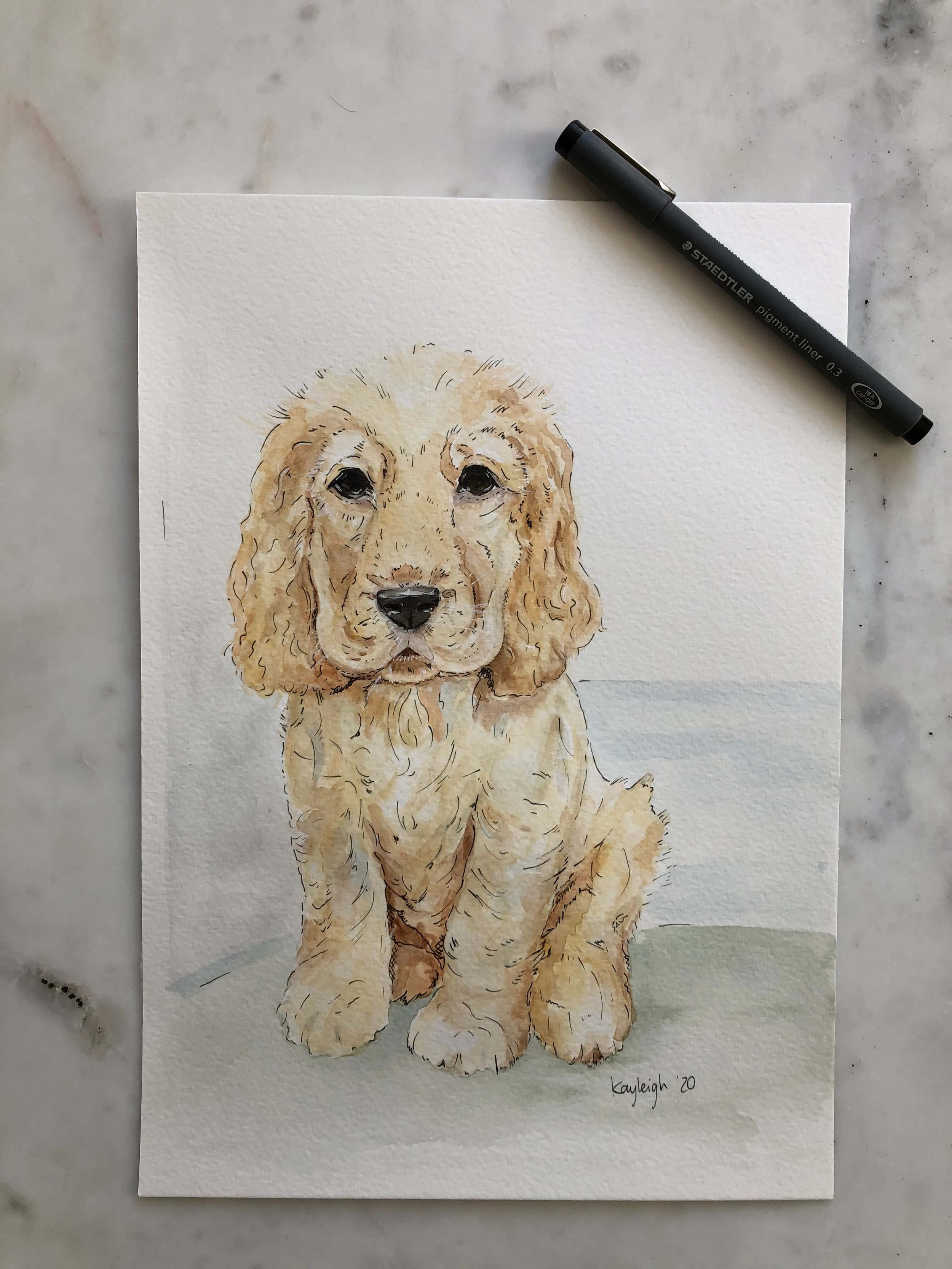 kayleigh mccallum pet portrait 3.jpeg
