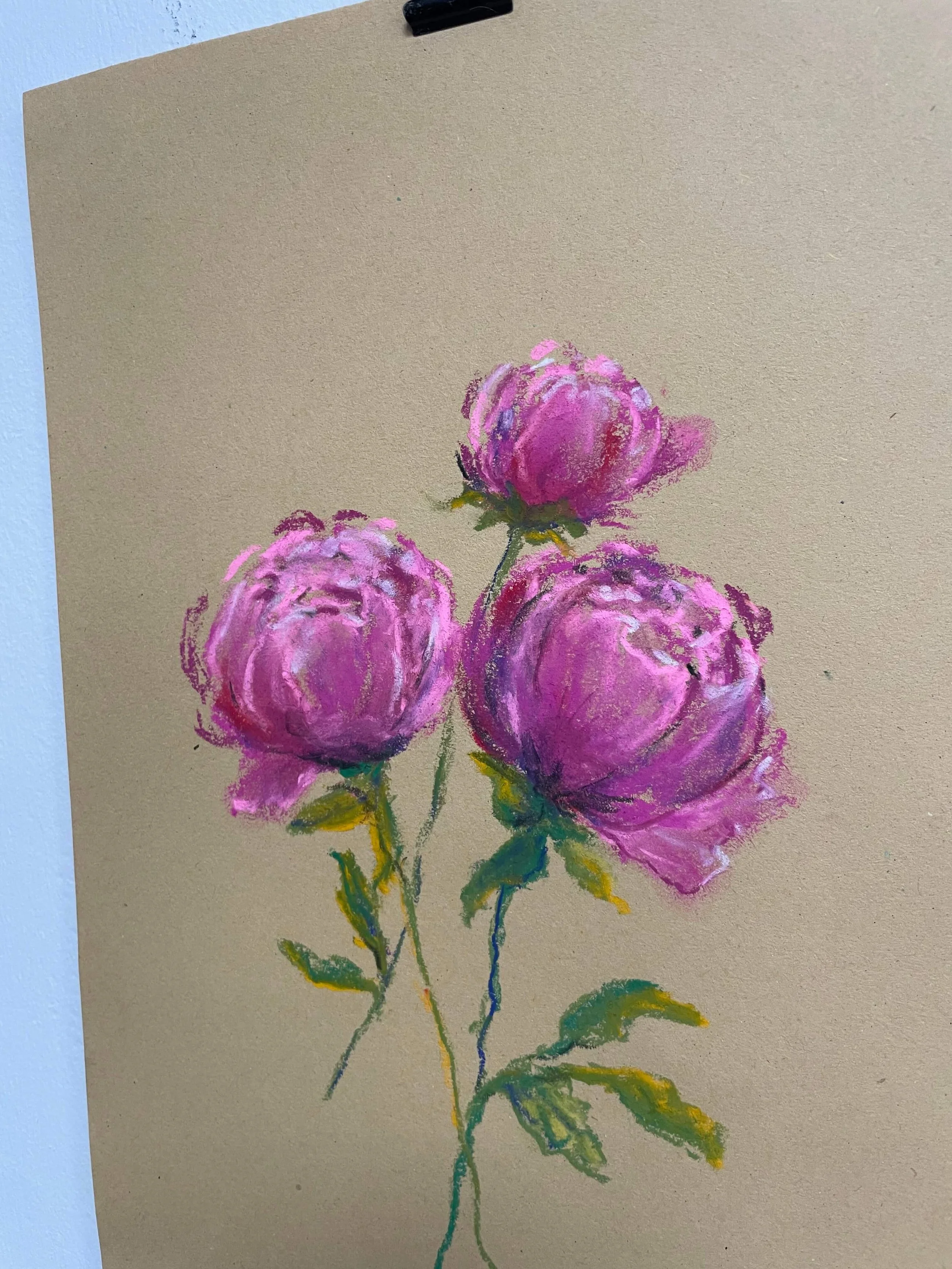 chalk pastel challenge 11 peony kayleigh mccallum 2.jpeg