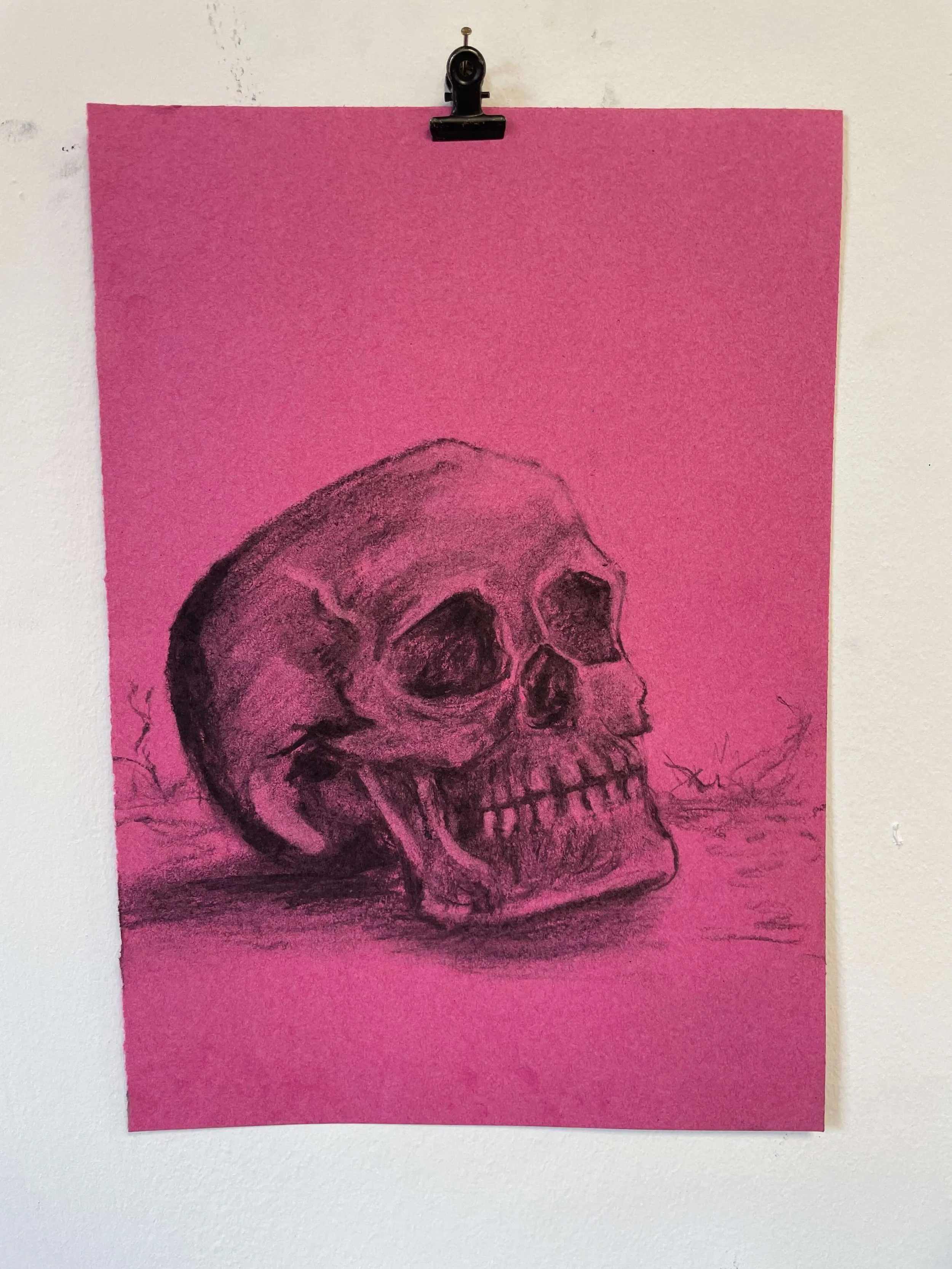 chalk pastel challenge 29 skull kayleigh mccallum 1.jpeg