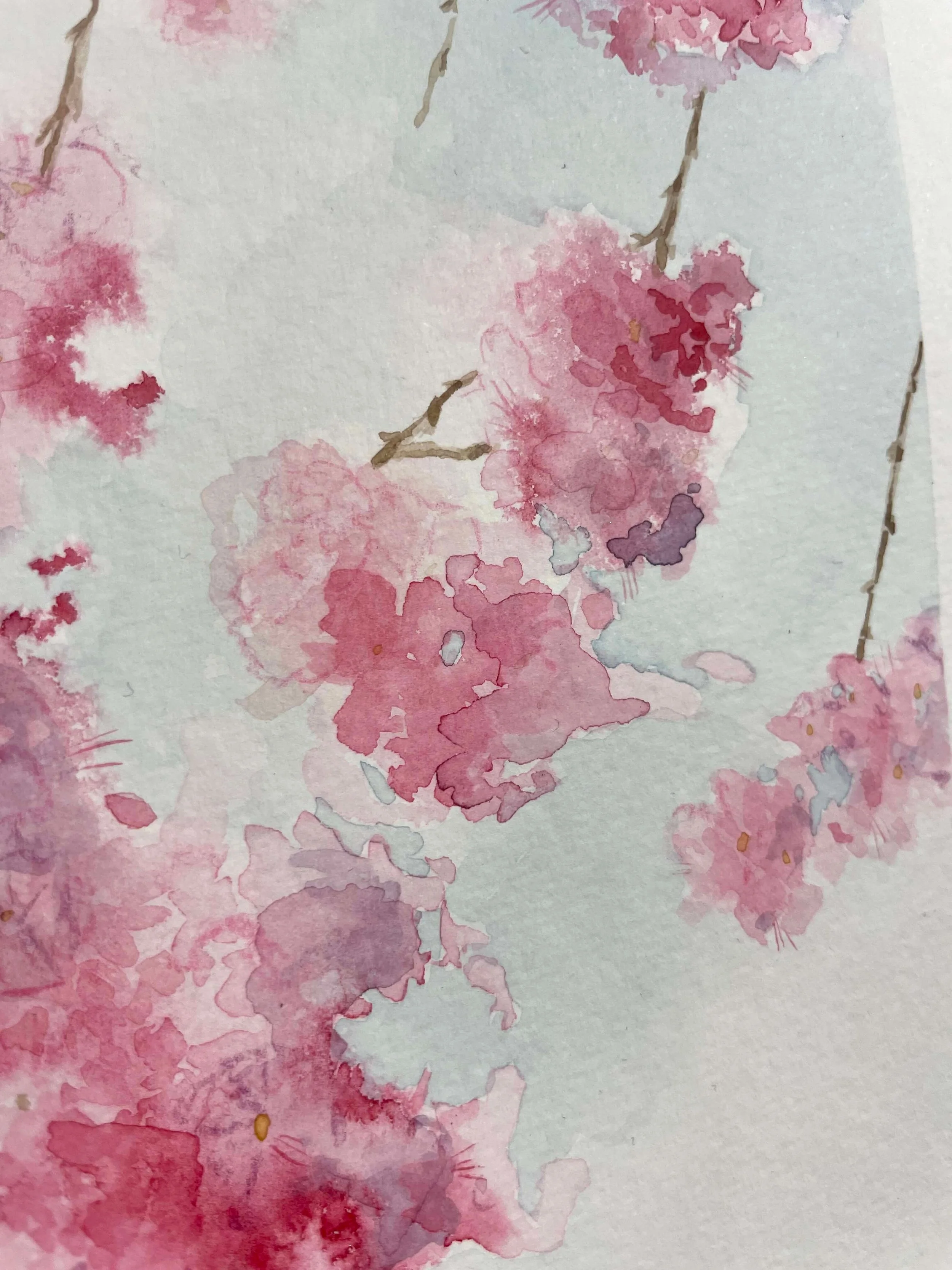 SS 1 cherry blossom kayleigh mccallum 3.jpeg