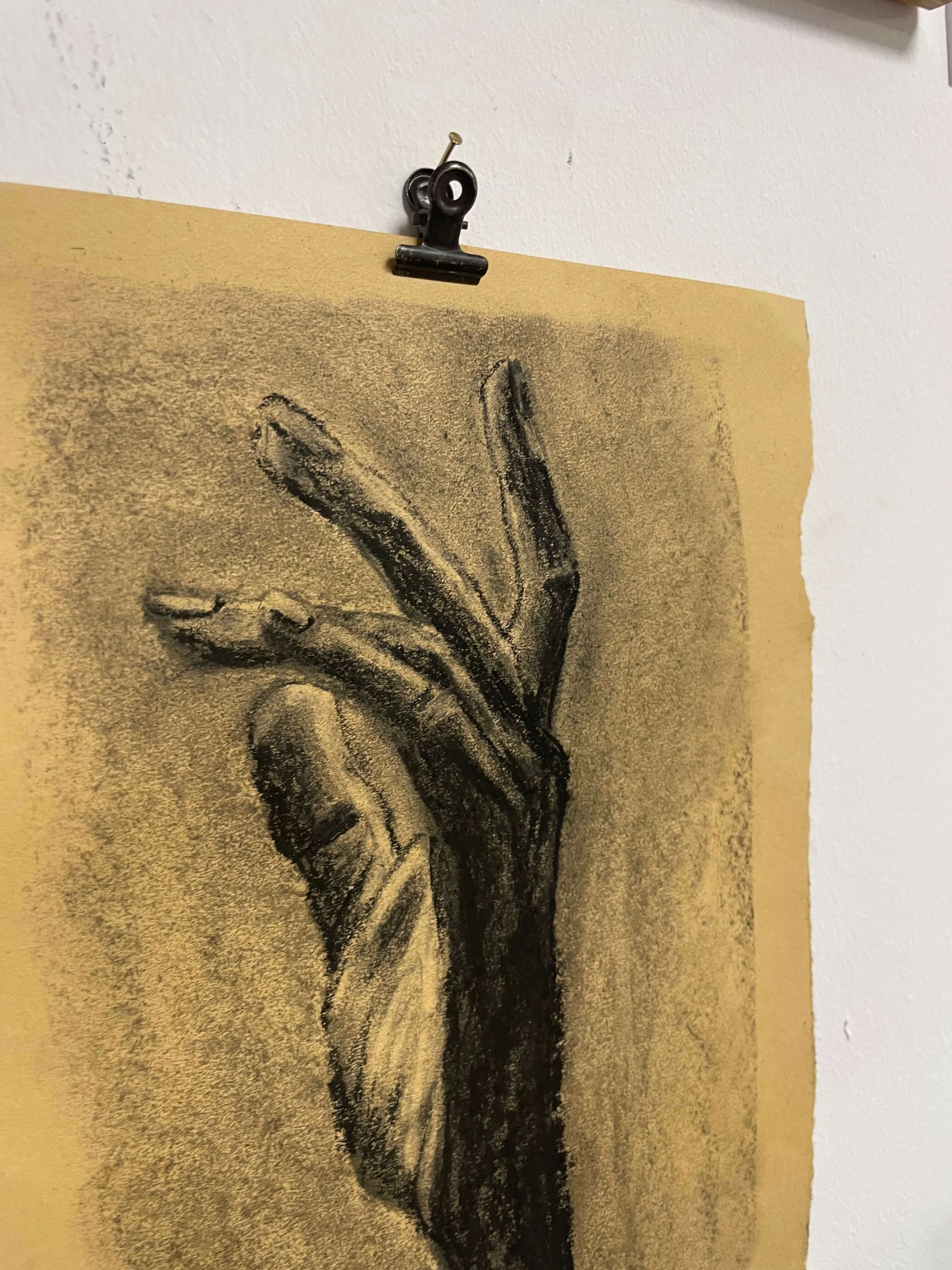 chalk pastel challenge 16 hand kayleigh mccallum 2.jpeg