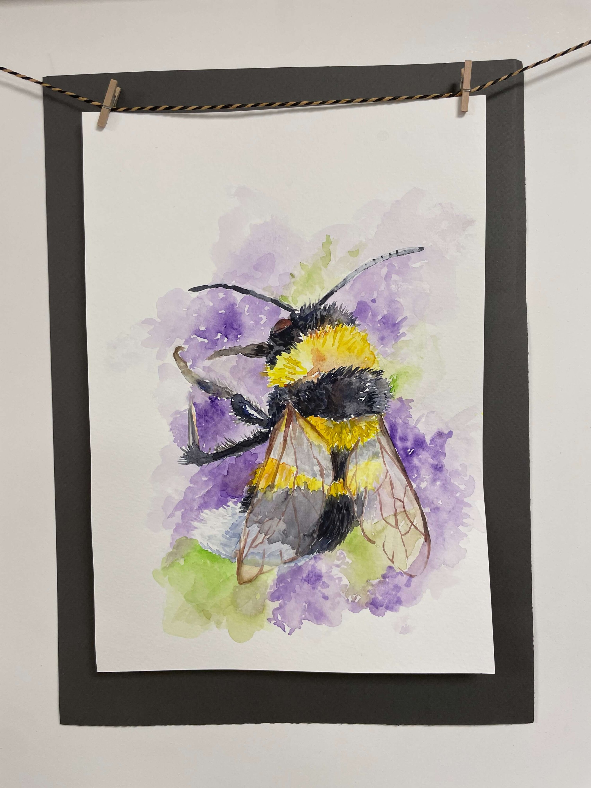 SS 5 bee kayleigh mccallum 1.jpeg