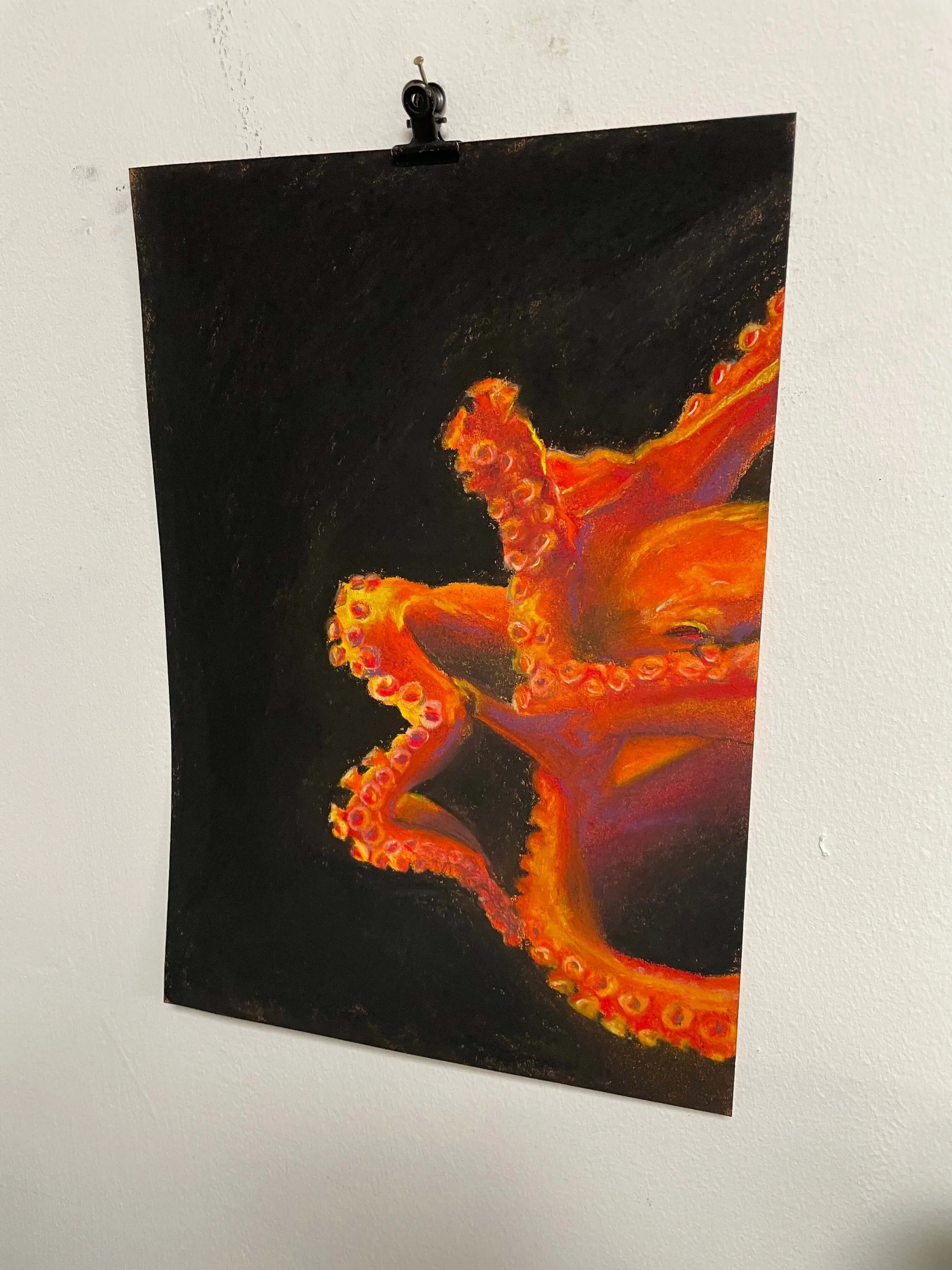 chalk pastel challenge 40 octopus kayleigh mccallum 3.jpeg
