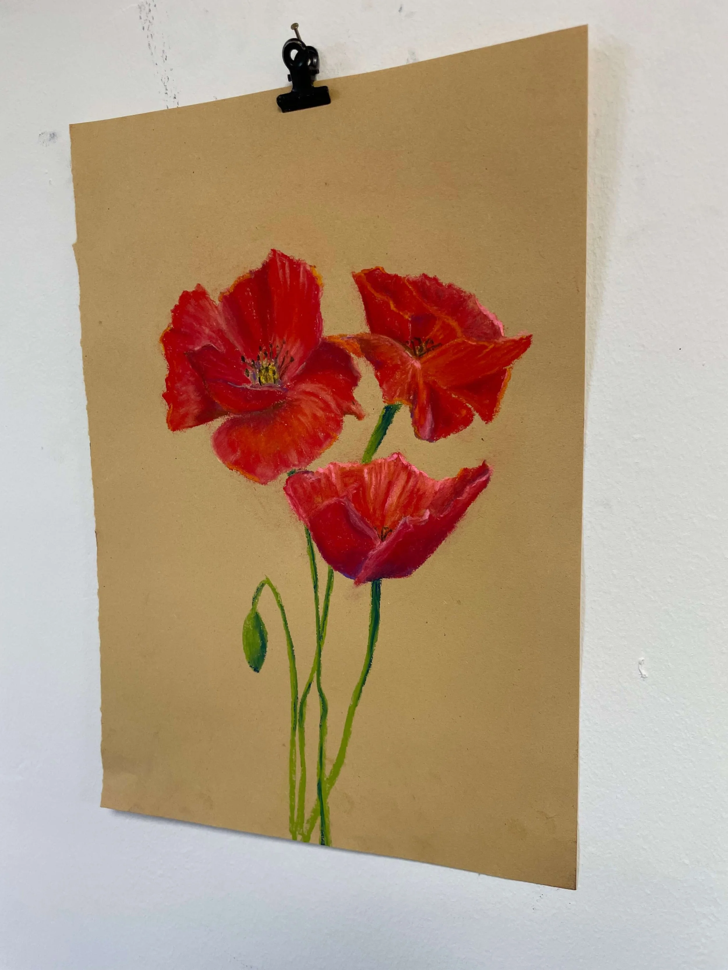 chalk pastel challenge 22 poppies kayleigh mccallum 4.jpeg