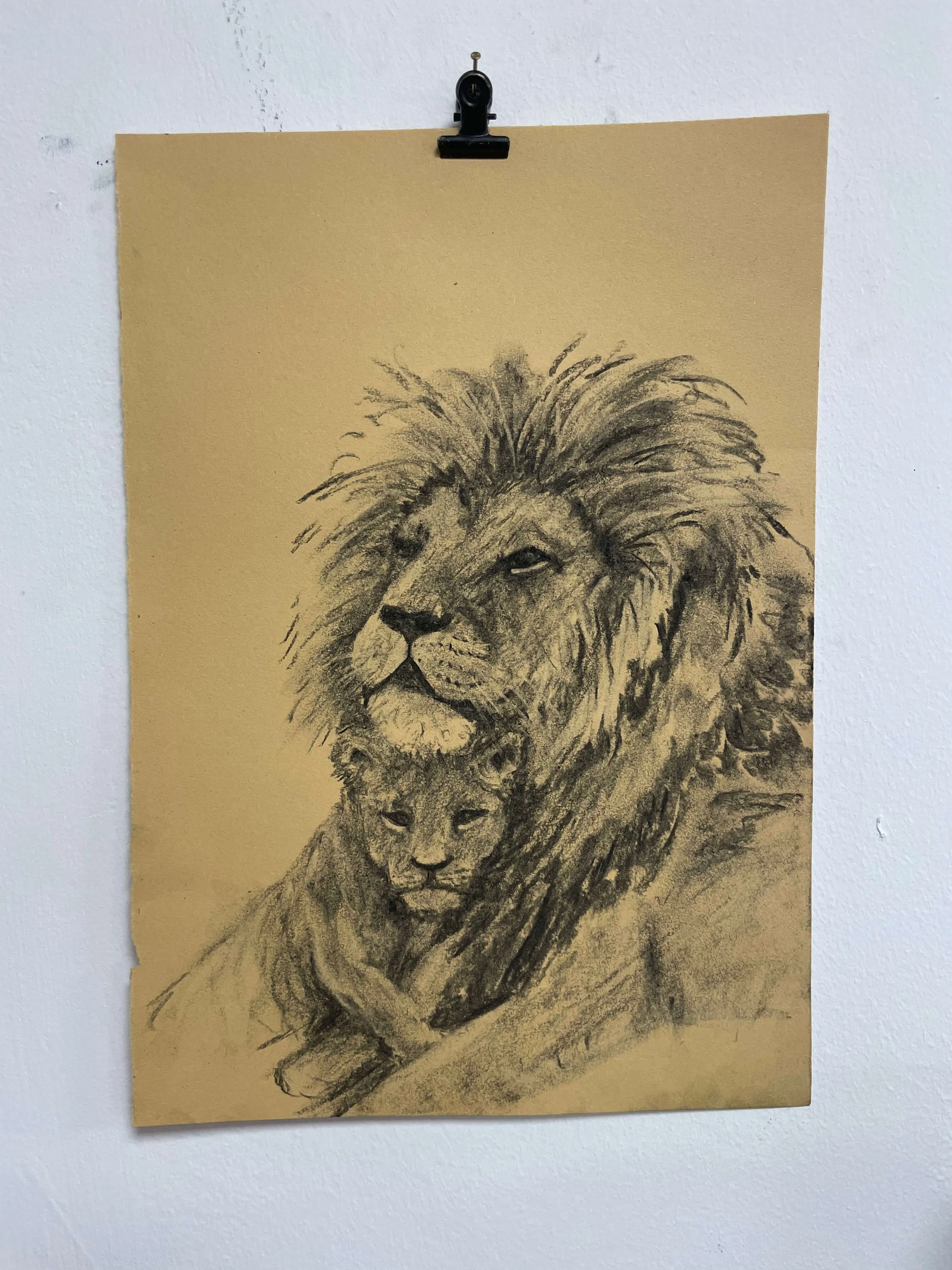 chalk pastel challenge 21 lions kayleigh mccallum 1.jpg