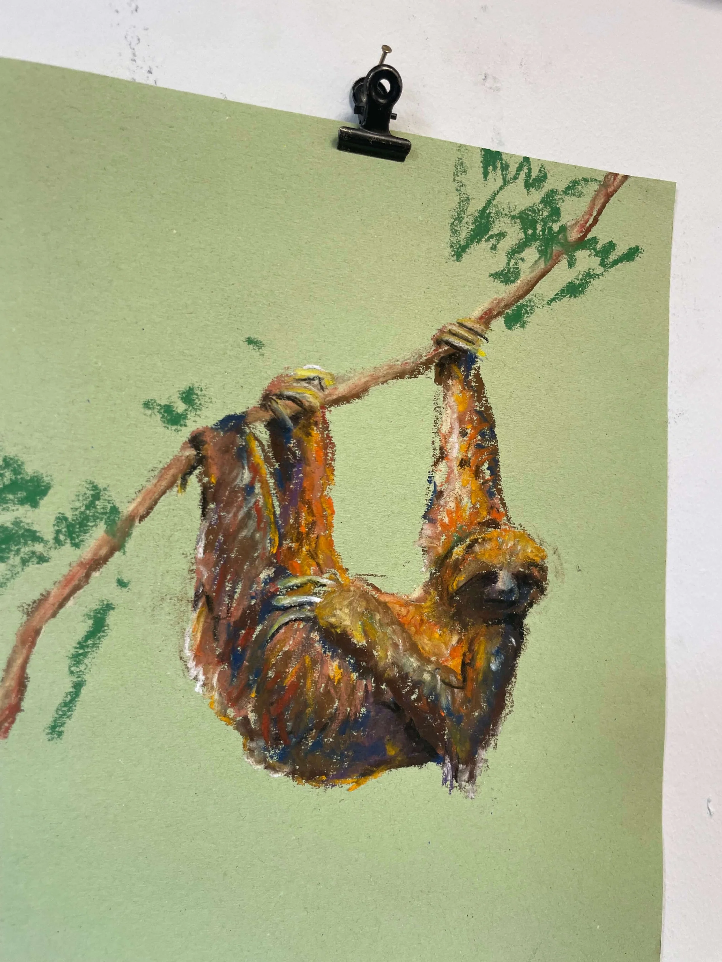 chalk pastel challenge 41 sloth kayleigh mccallum 2.jpeg