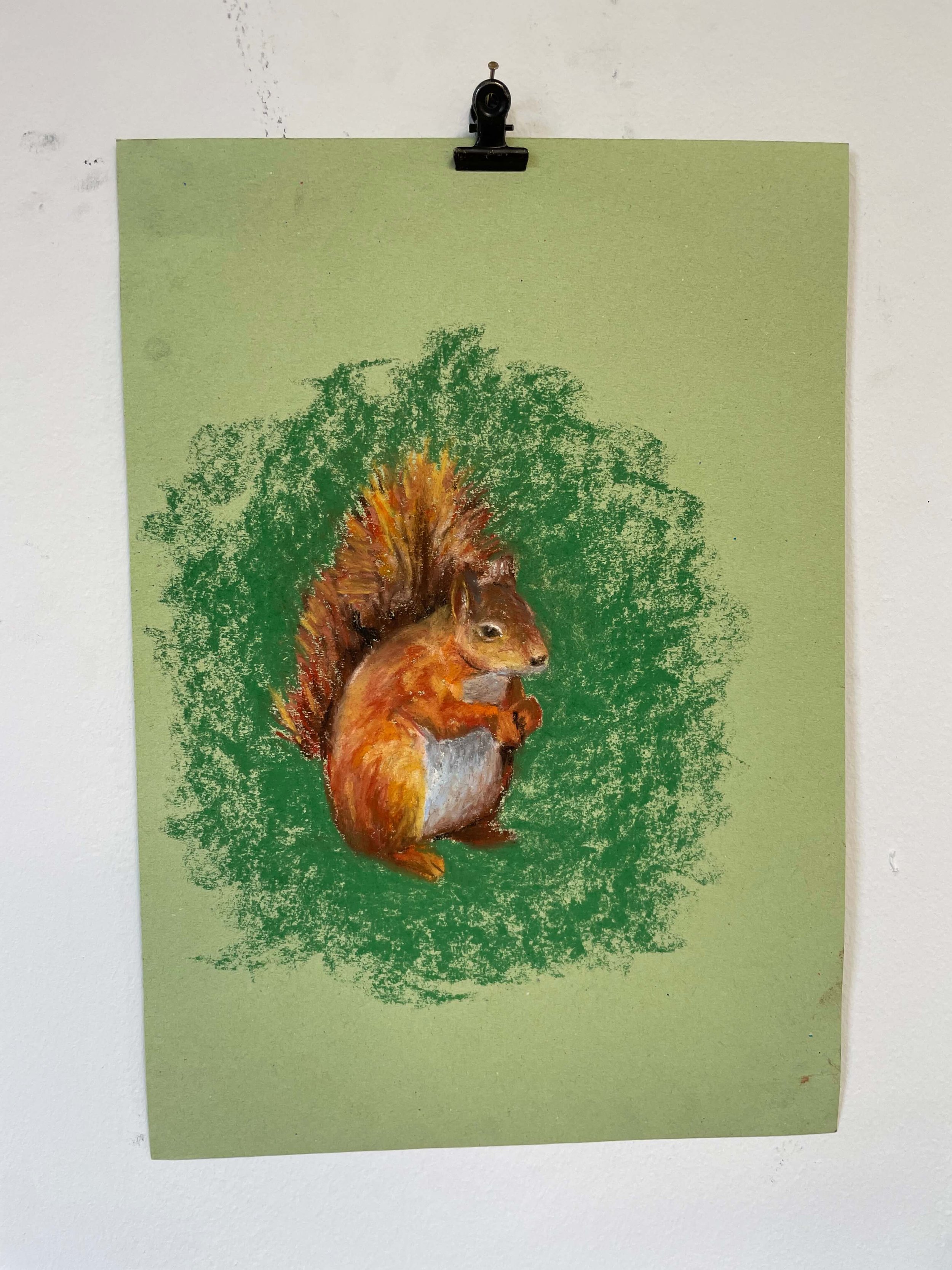 chalk pastel challenge 30 squirrell kayleigh mccallum 1.jpeg