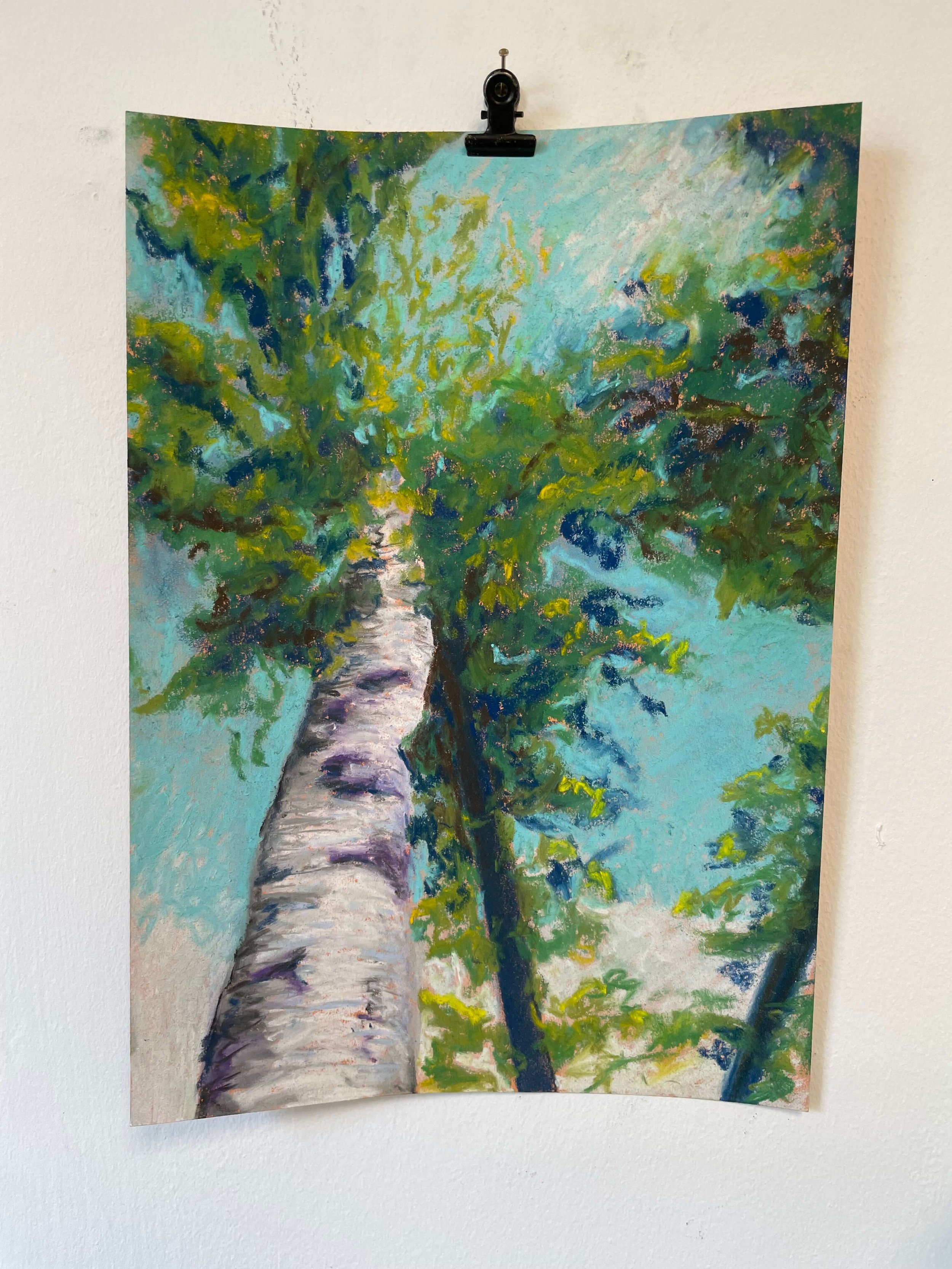 chalk pastel challenge 42 tree kayleigh mccallum 1.jpeg