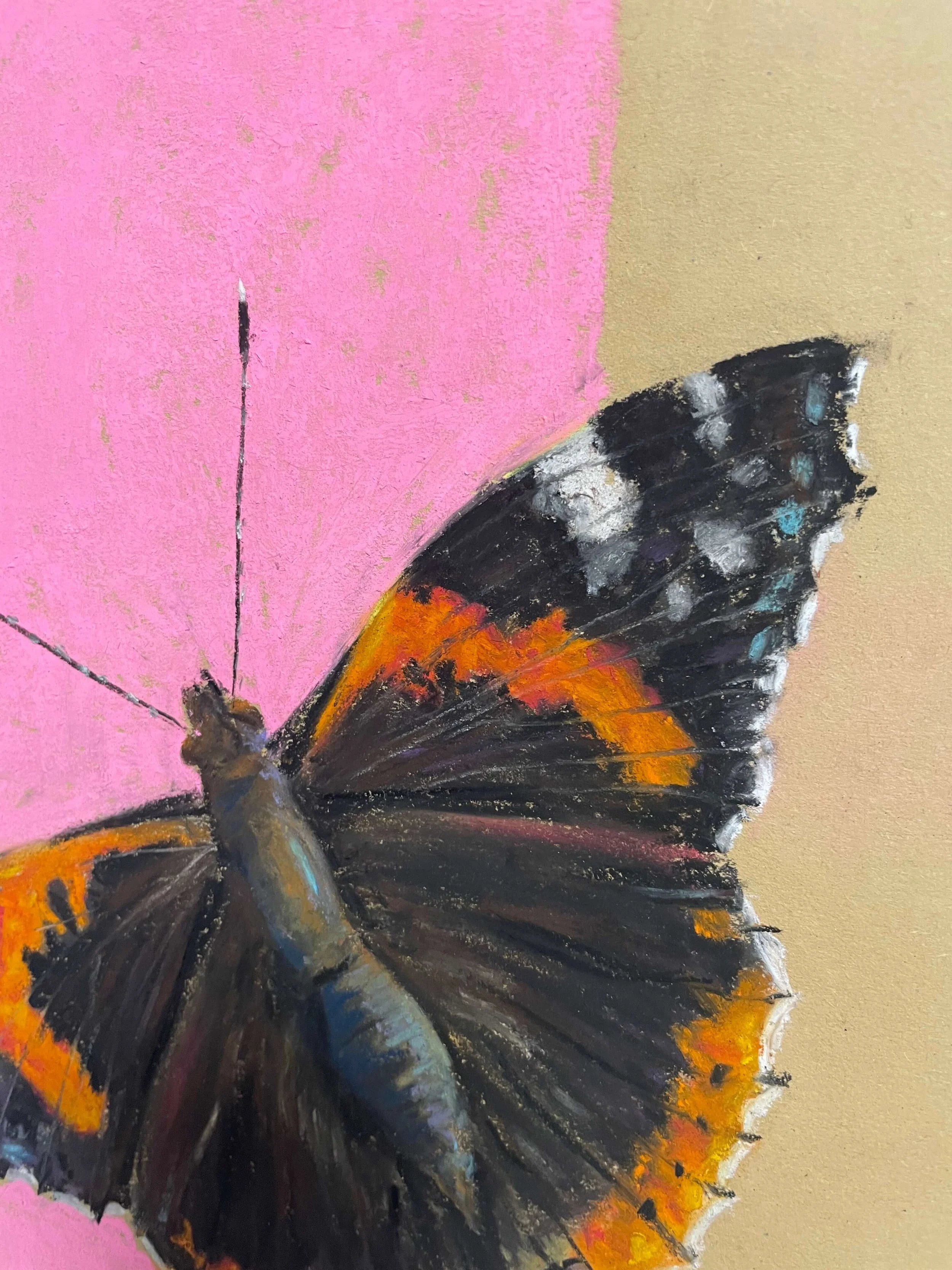 chalk pastel challenge 15 butterfly kayleigh mccallum 2.jpeg