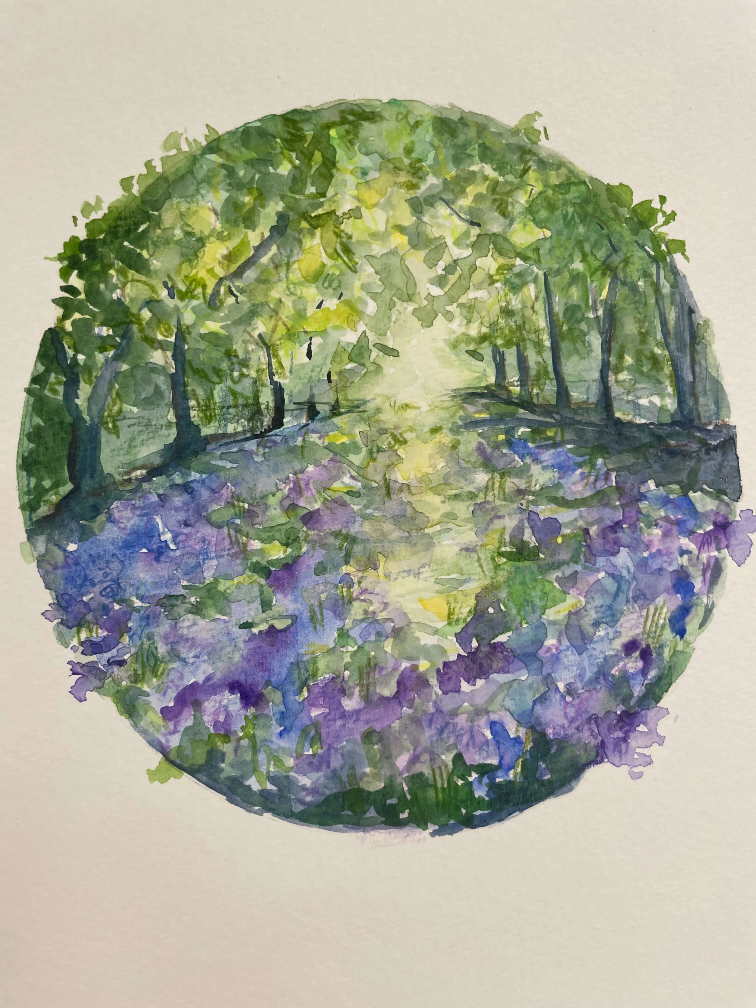 SS 2 bluebells kayleigh mccallum 2.jpg