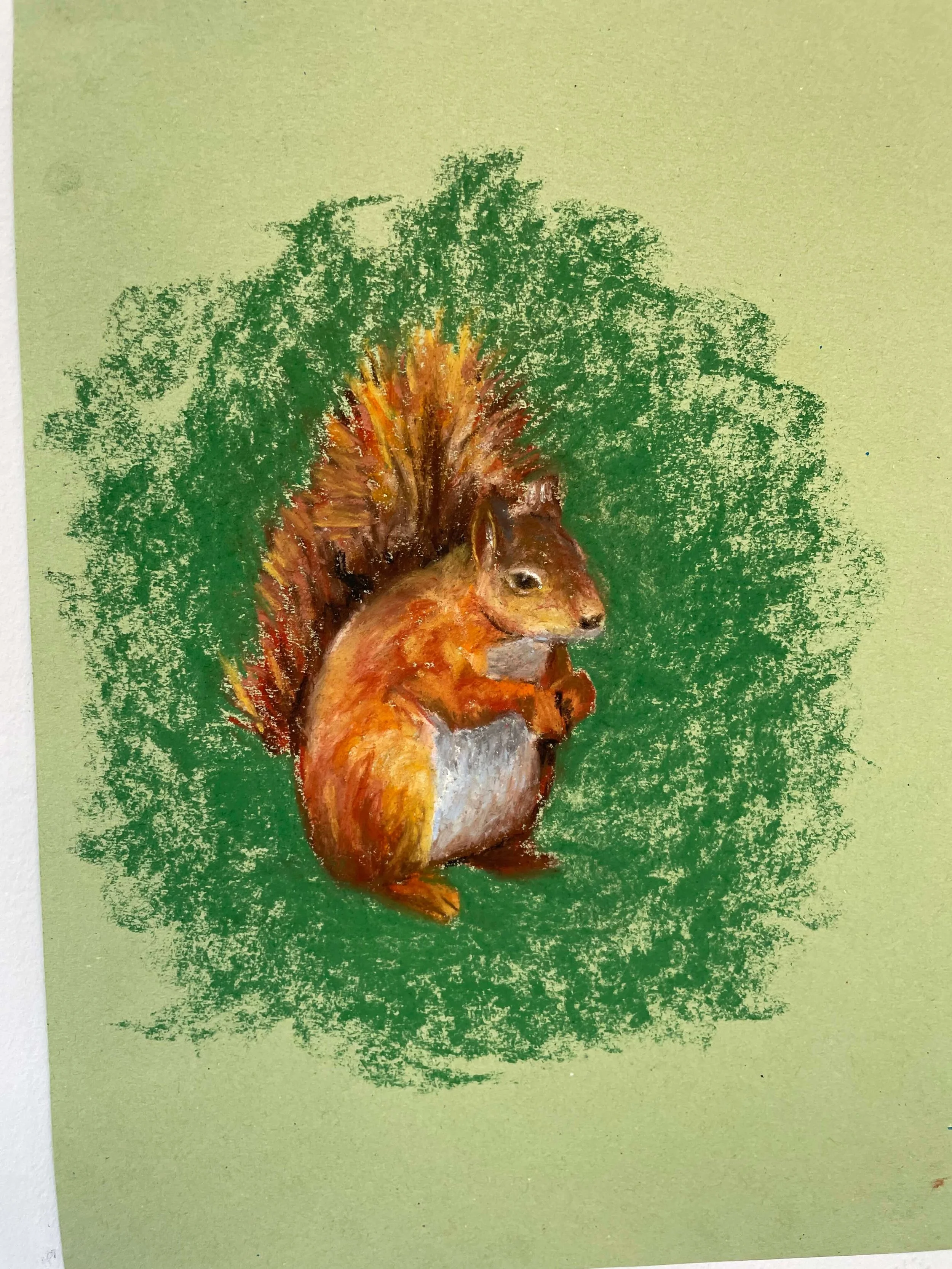chalk pastel challenge 30 squirrell kayleigh mccallum 3.jpeg