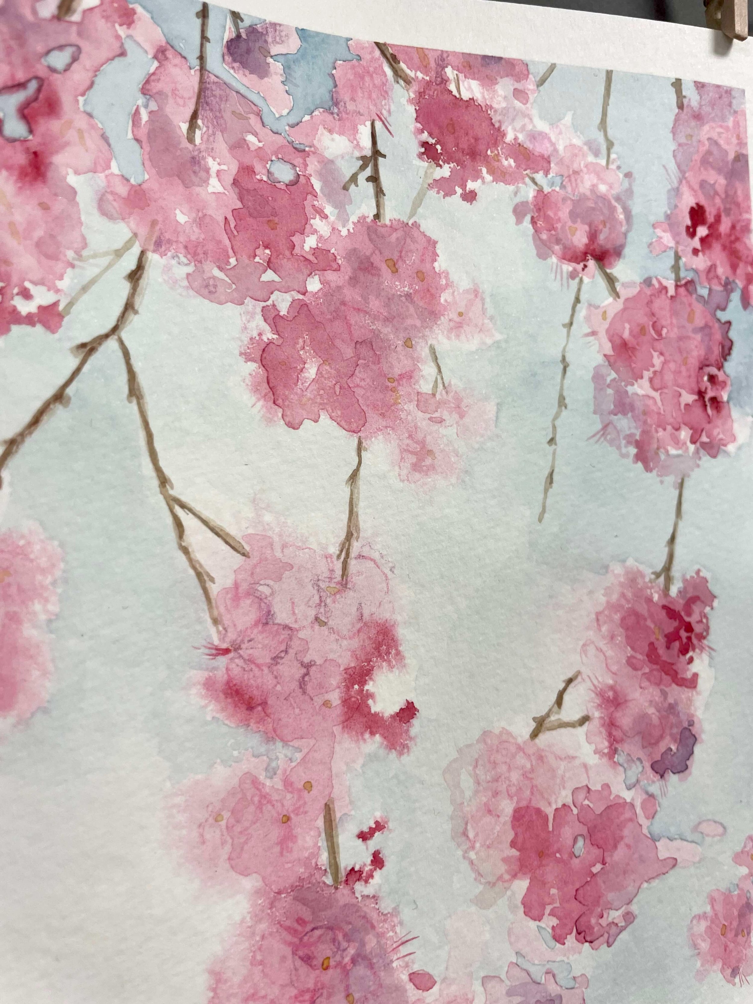 SS 1 cherry blossom kayleigh mccallum 4.jpeg