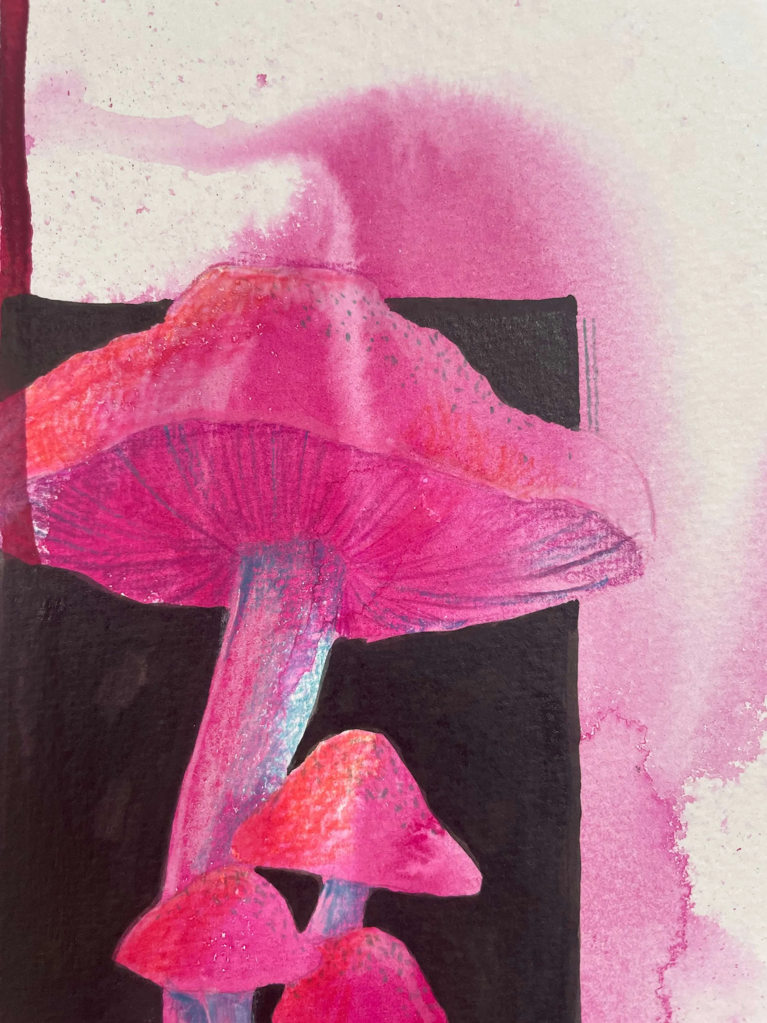 SS 7 toadstools kayleigh mccallum 4.jpeg
