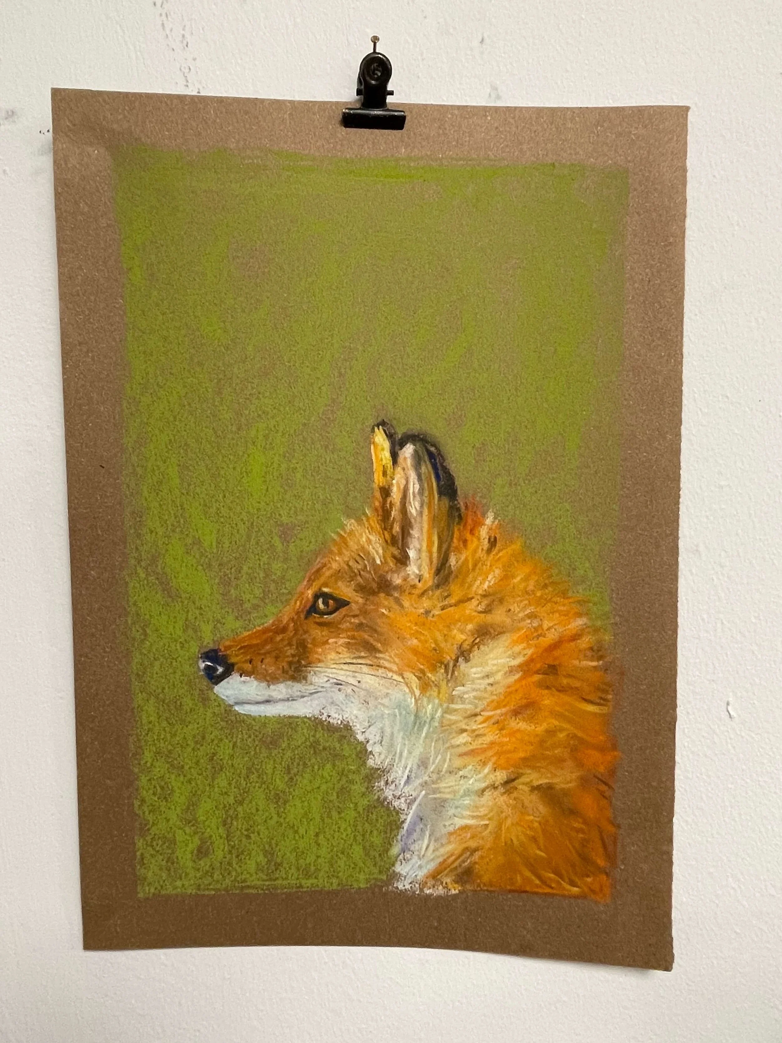 chalk pastel challenge 18 fox kayleigh mccallum 1.jpeg