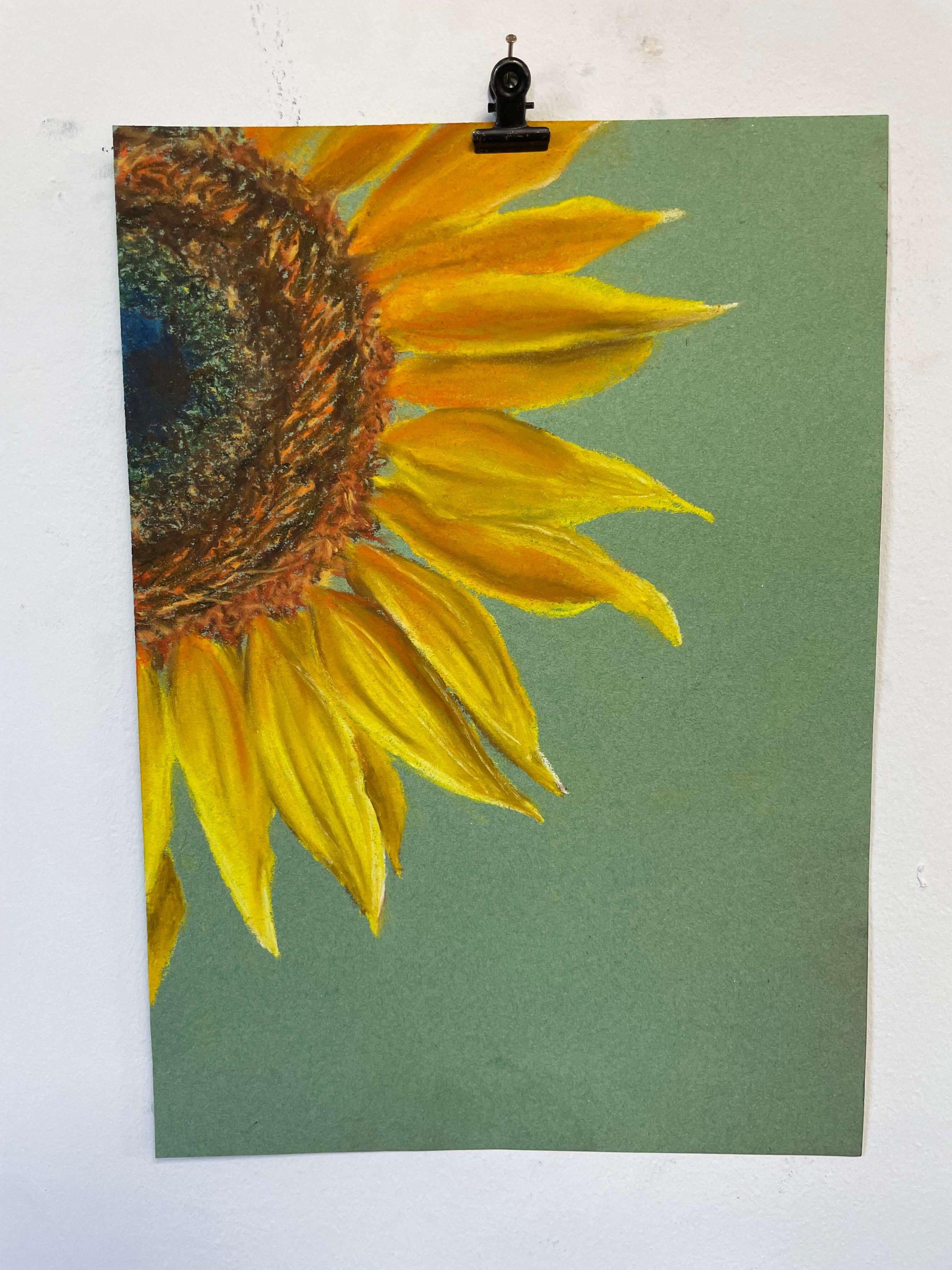 chalk pastel challenge 47 sunflower kayleigh mccallum 1.jpeg