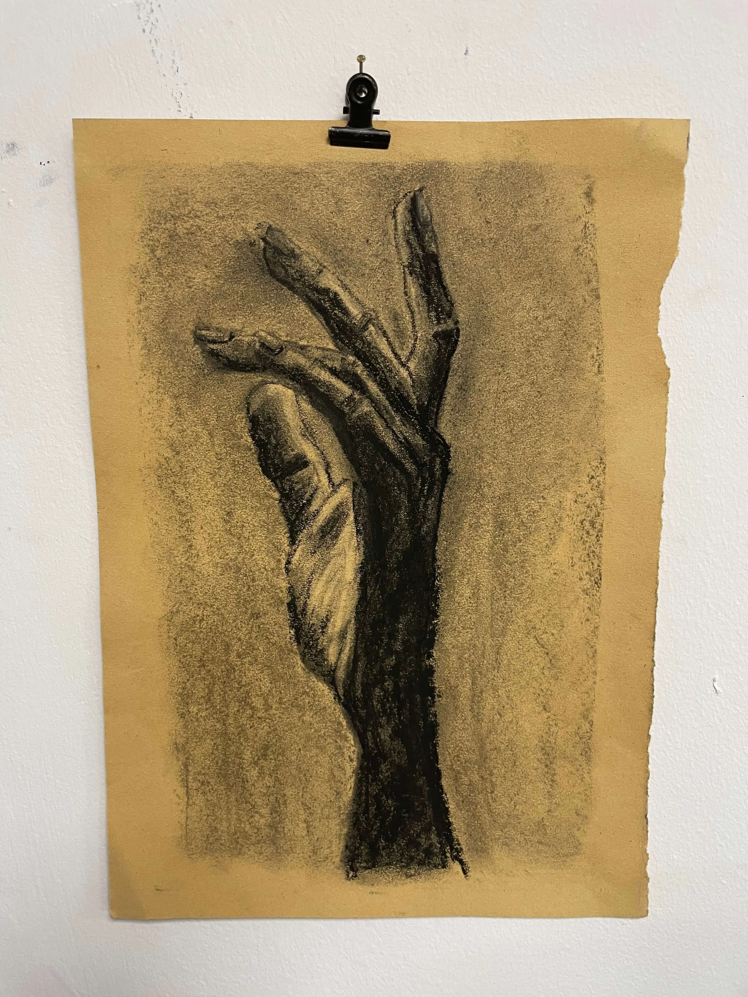 chalk pastel challenge 16 hand kayleigh mccallum 1.jpeg