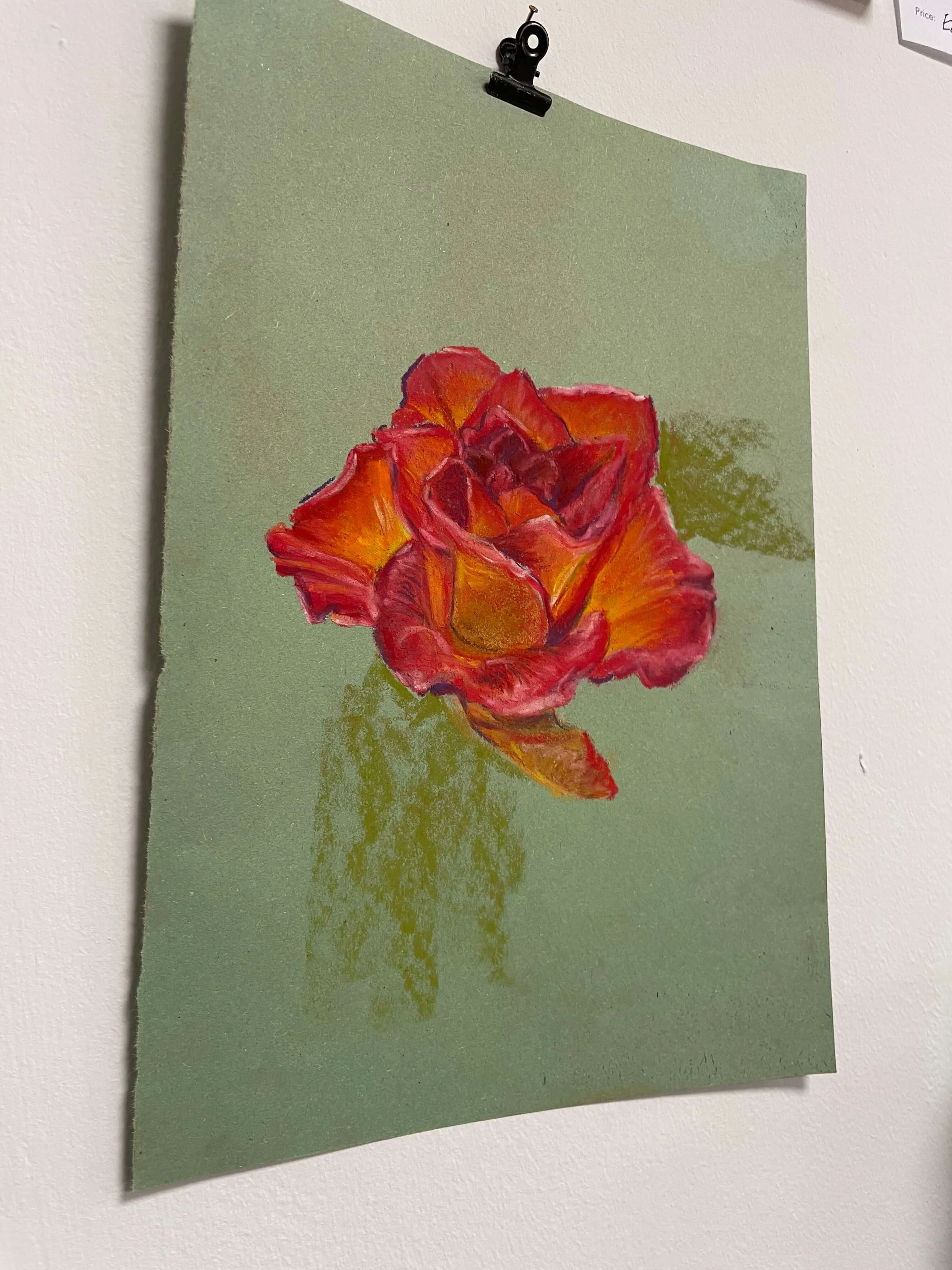 chalk pastel challenge 5 rose kayleigh mccallum 3.jpeg