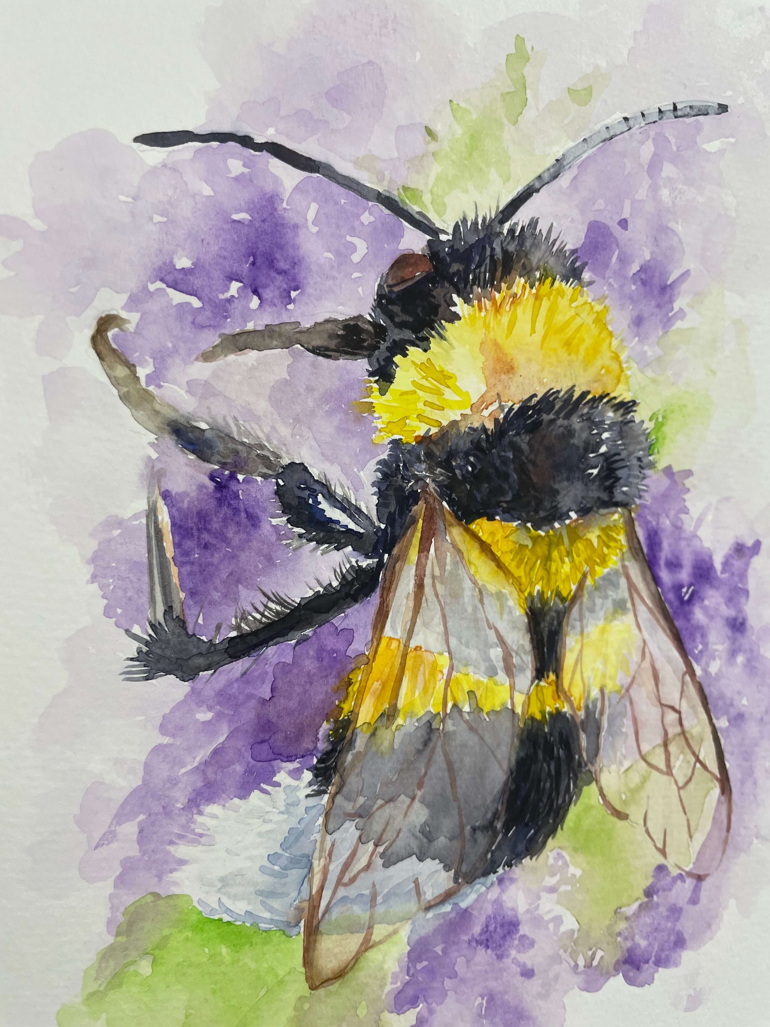 SS 5 bee kayleigh mccallum 3.jpeg