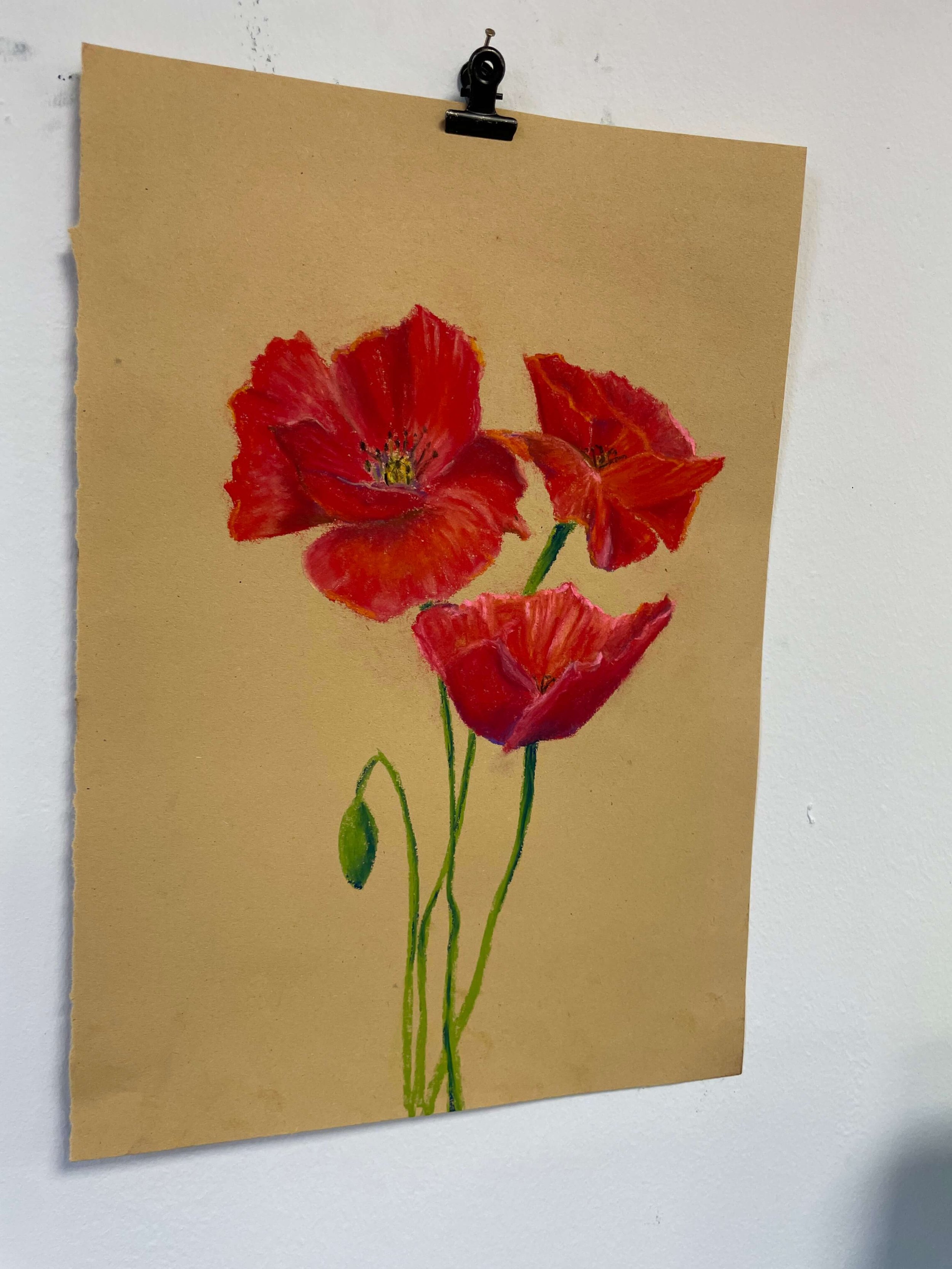 chalk pastel challenge 22 poppies kayleigh mccallum 5.jpeg