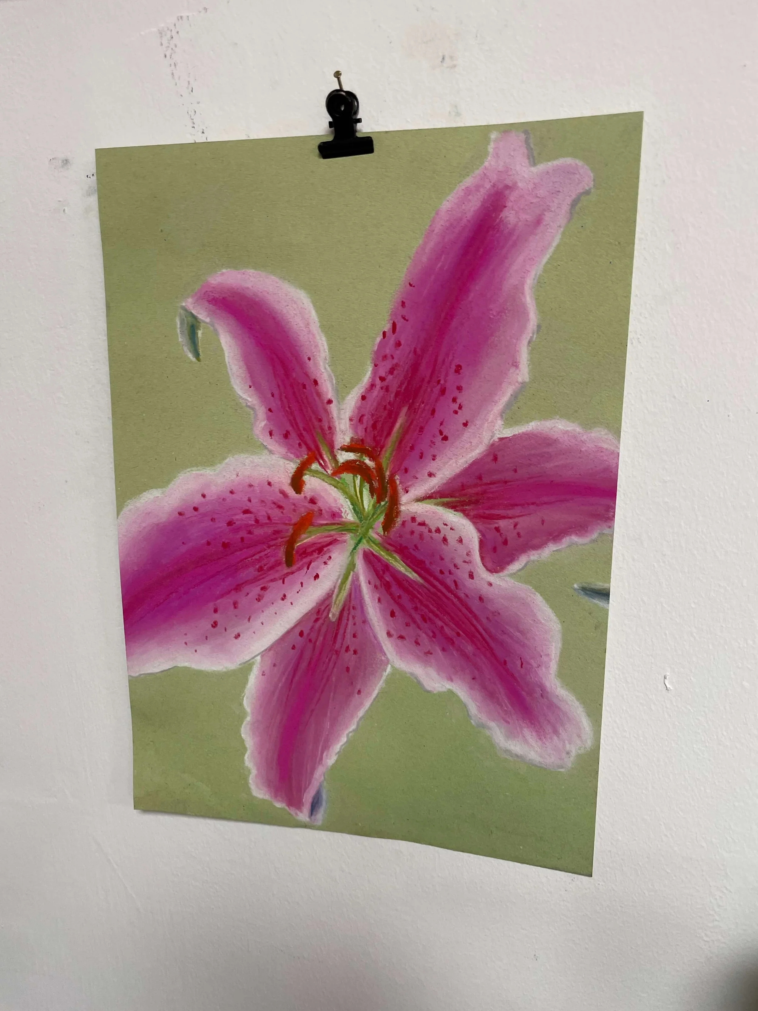 chalk pastel challenge 39 lily kayleigh mccallum 3.jpeg