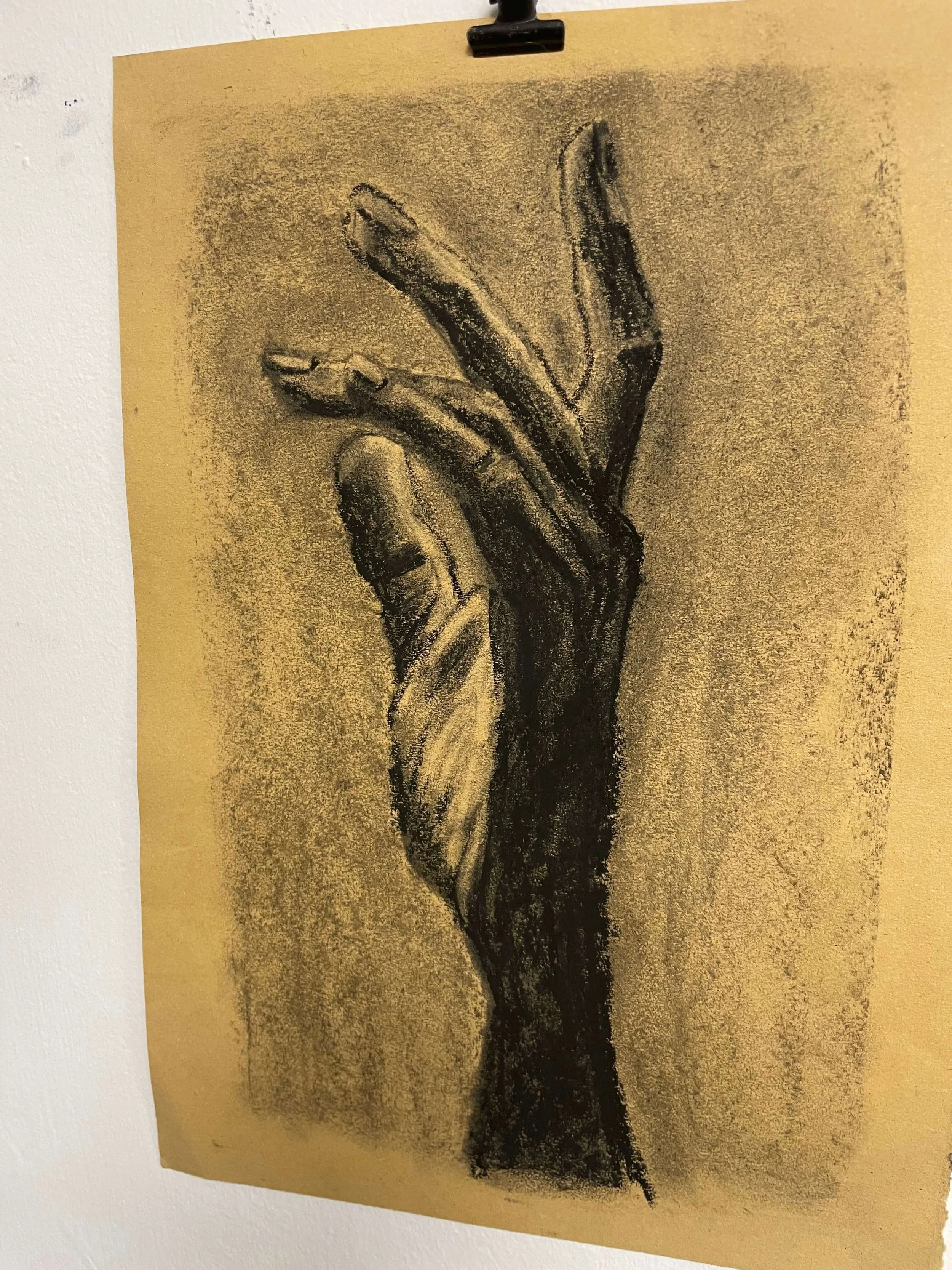 chalk pastel challenge 16 hand kayleigh mccallum 3.jpeg