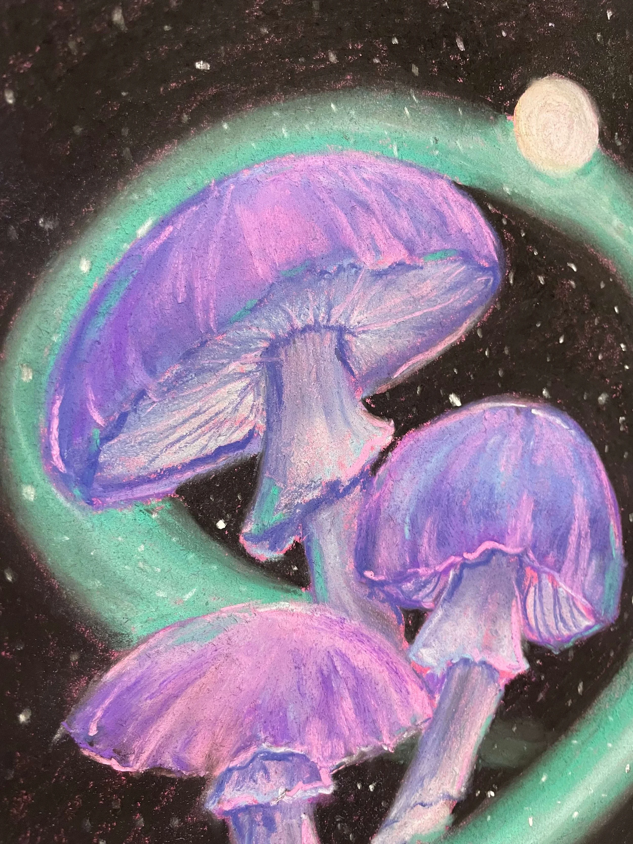 chalk pastel challenge 19 toadstools kayleigh mccallum 2.jpeg