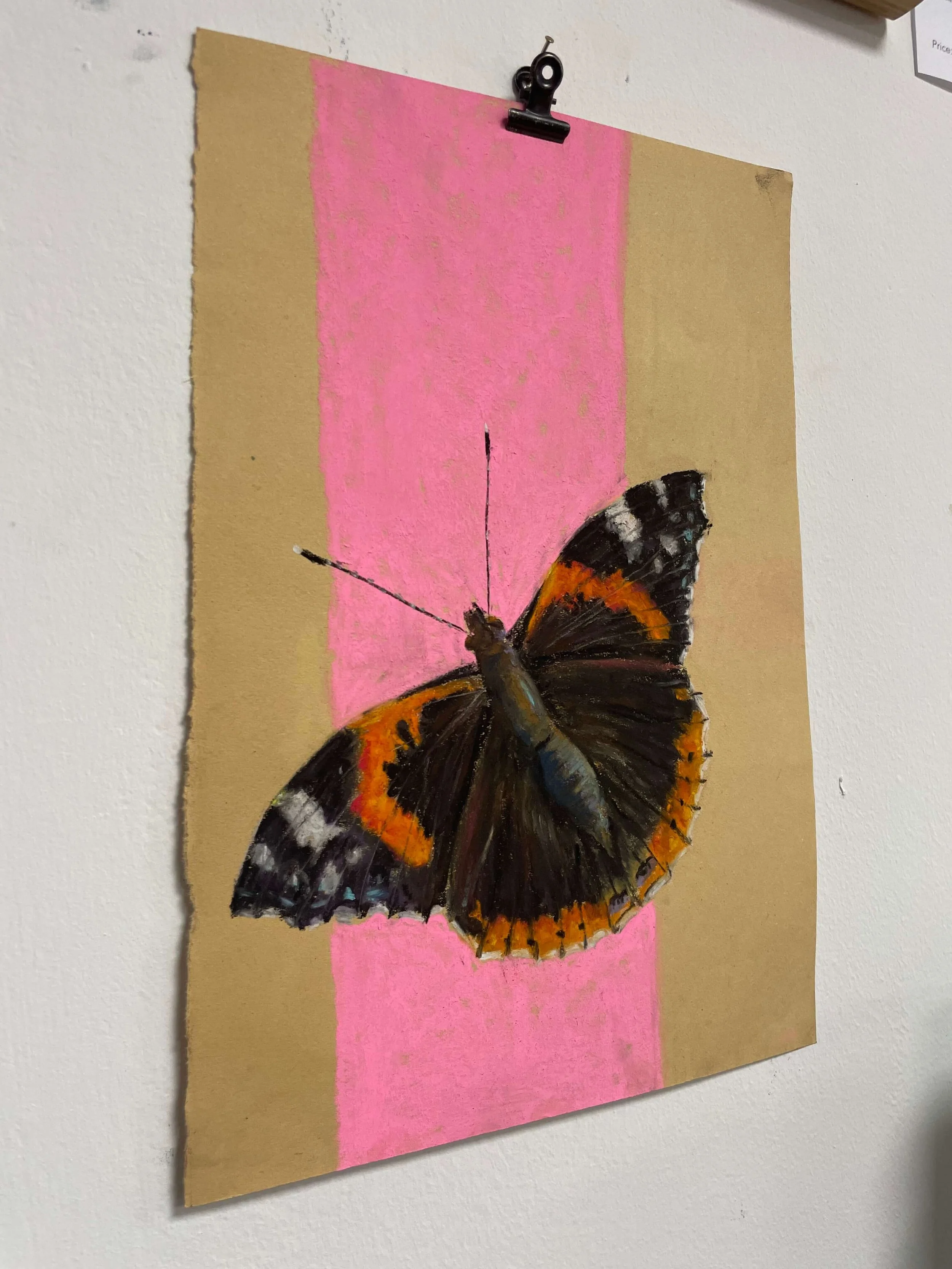 chalk pastel challenge 15 butterfly kayleigh mccallum 3.jpeg