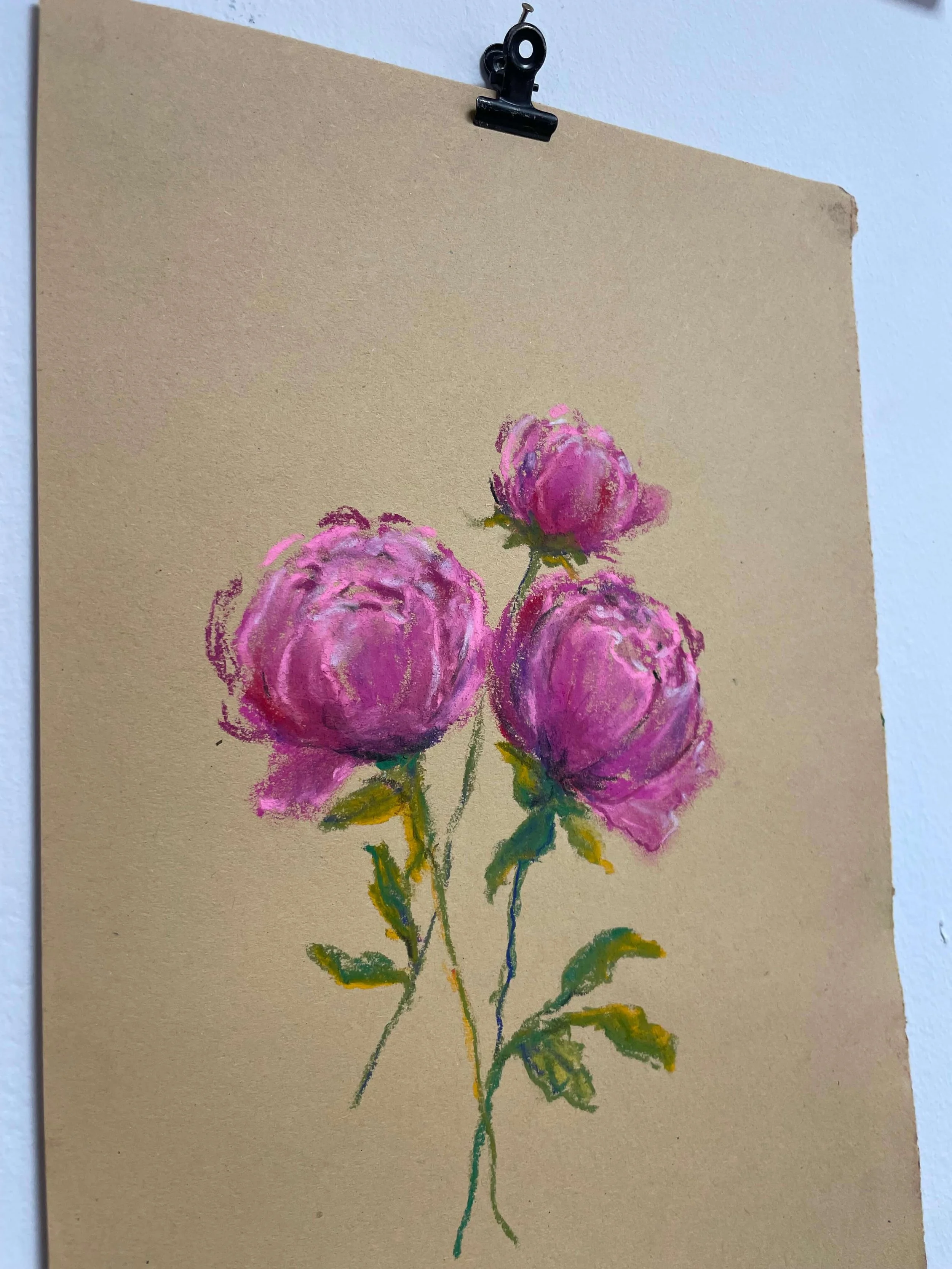 chalk pastel challenge 11 peony kayleigh mccallum 3.jpeg