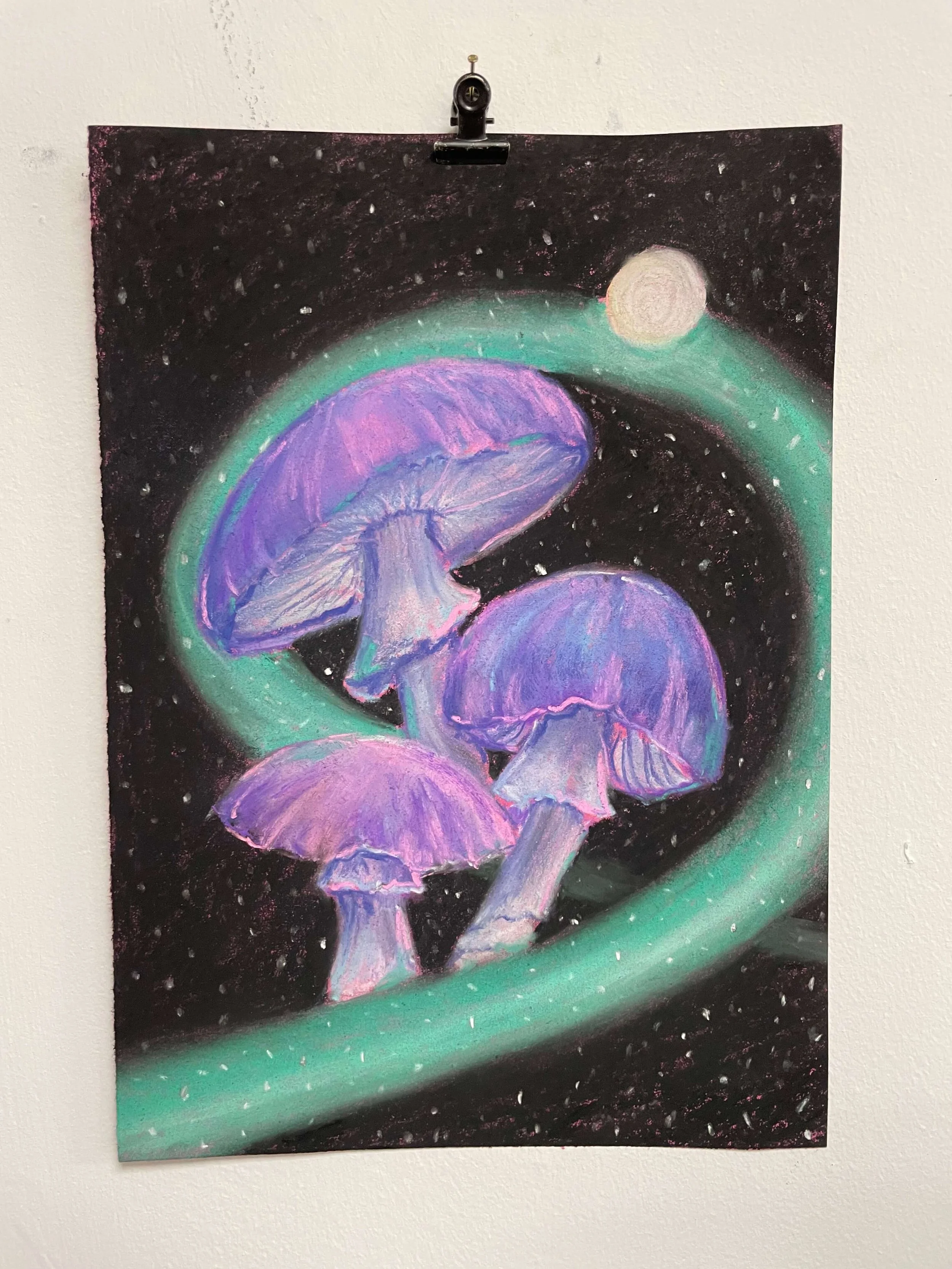 chalk pastel challenge 19 toadstools kayleigh mccallum 1.jpeg