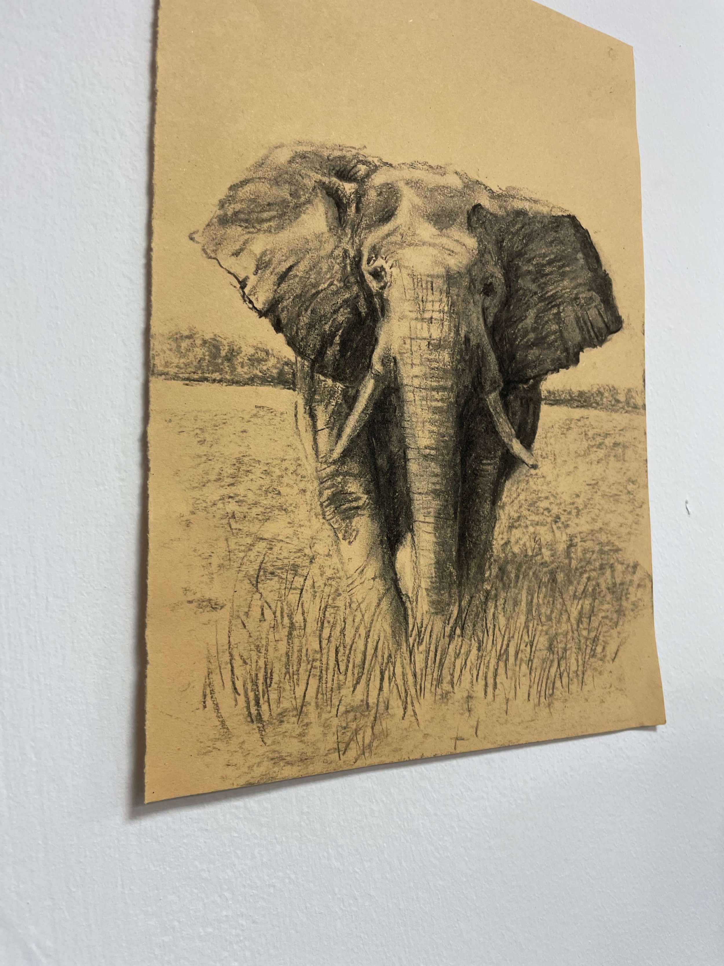chalk pastel challenge 4 elephant kayleigh mccallum 1.jpeg