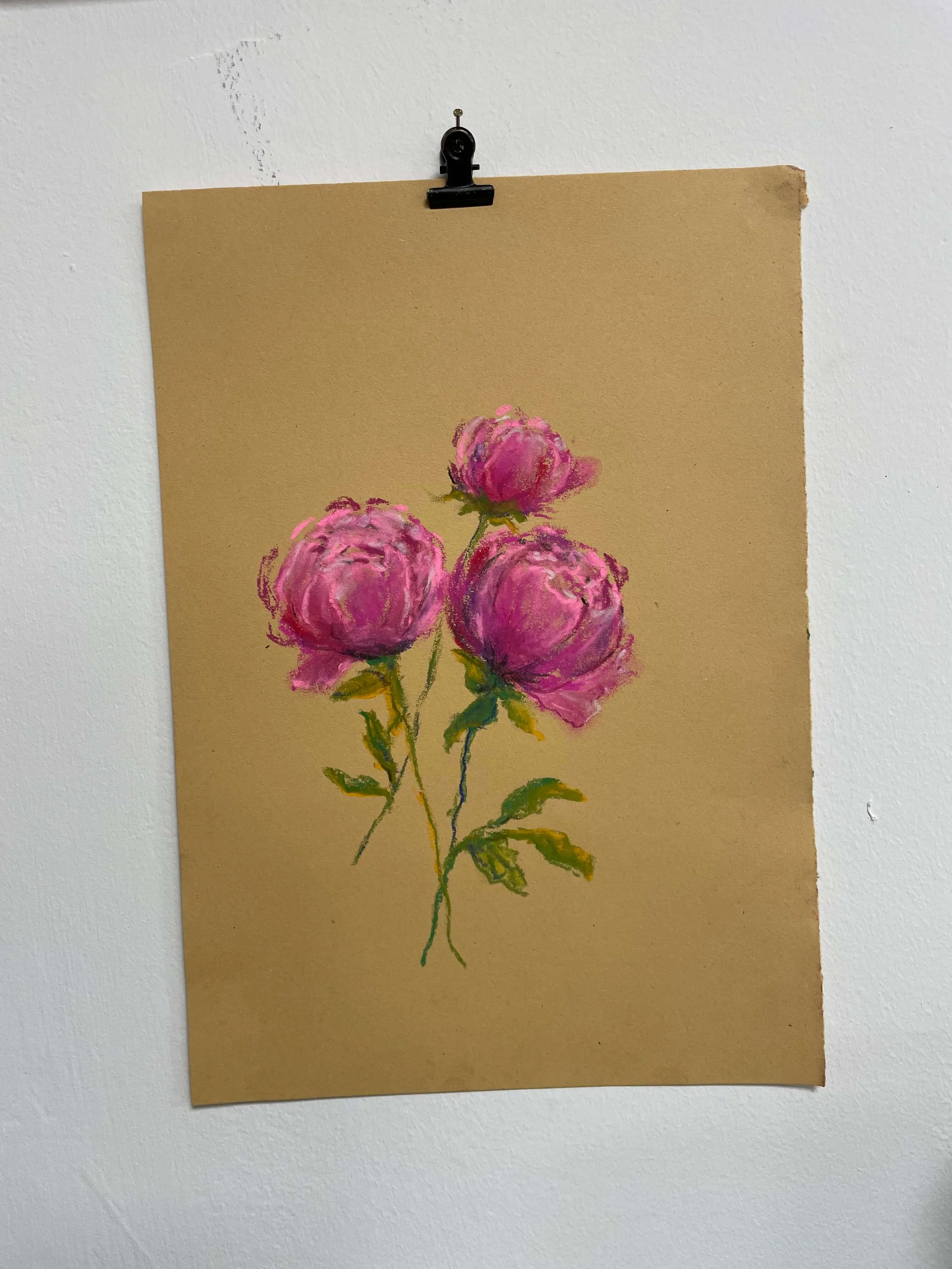 chalk pastel challenge 11 peony kayleigh mccallum 1.jpeg