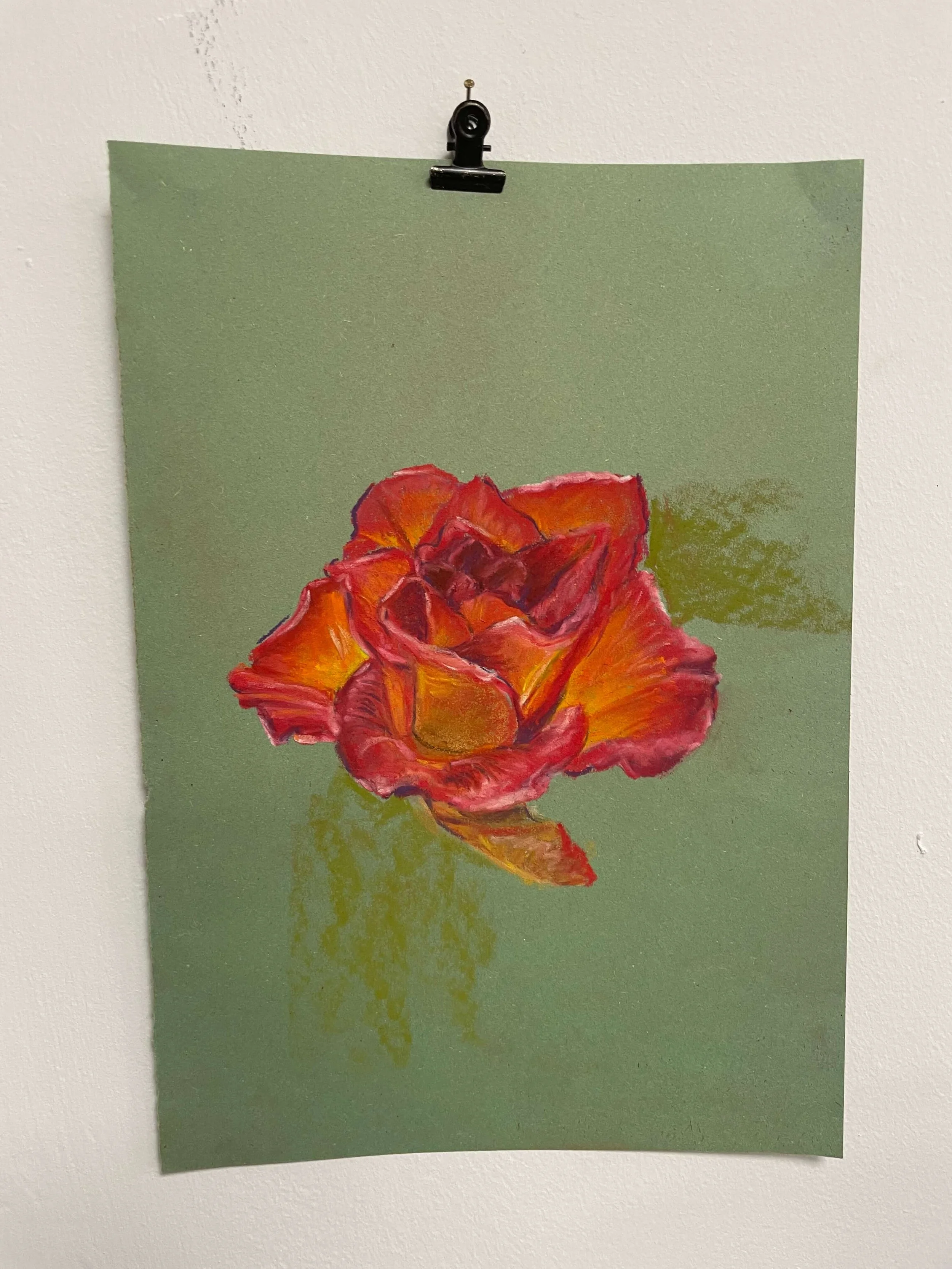 chalk pastel challenge 5 rose kayleigh mccallum 2.jpeg