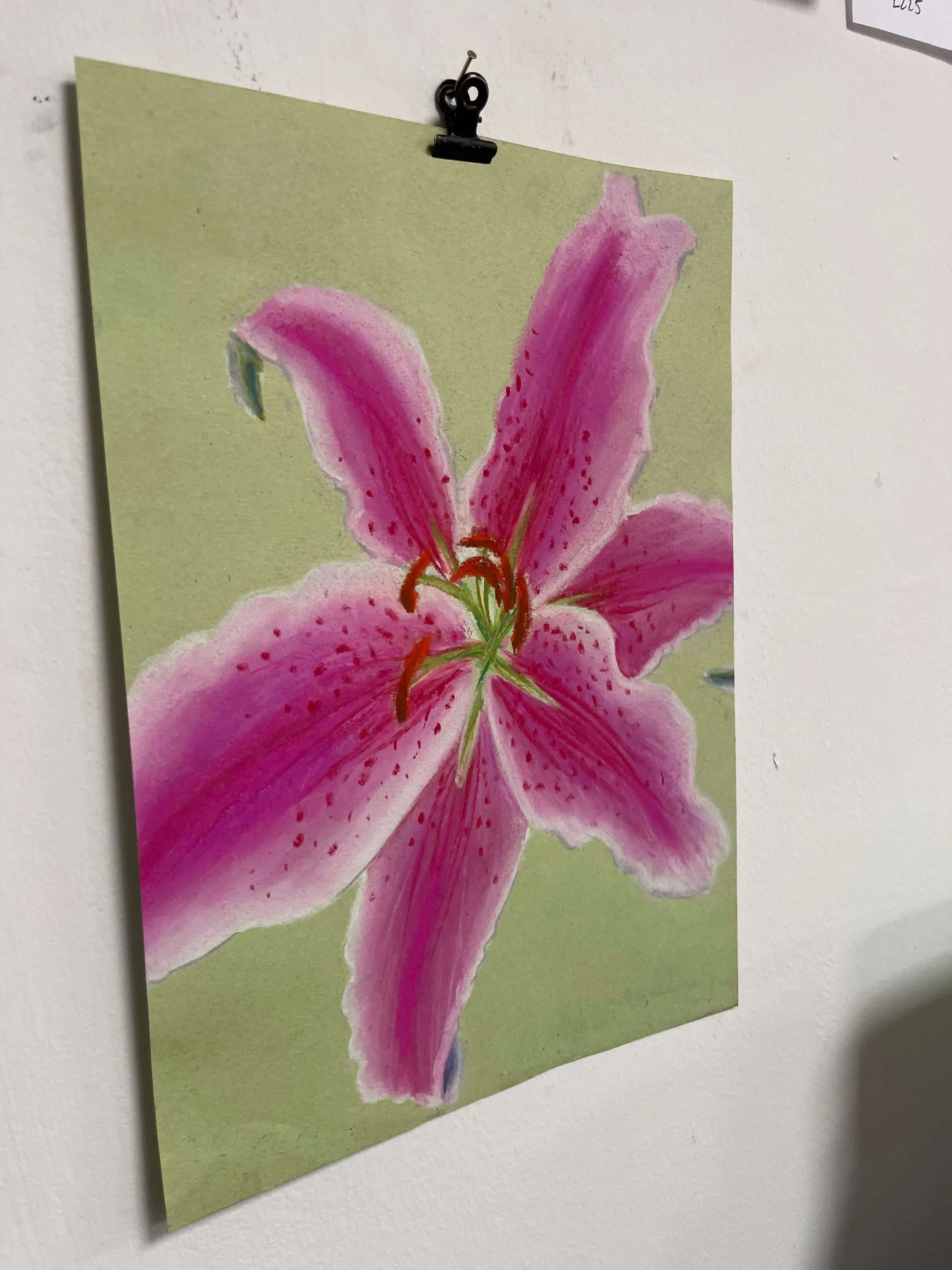 chalk pastel challenge 39 lily kayleigh mccallum 2.jpeg