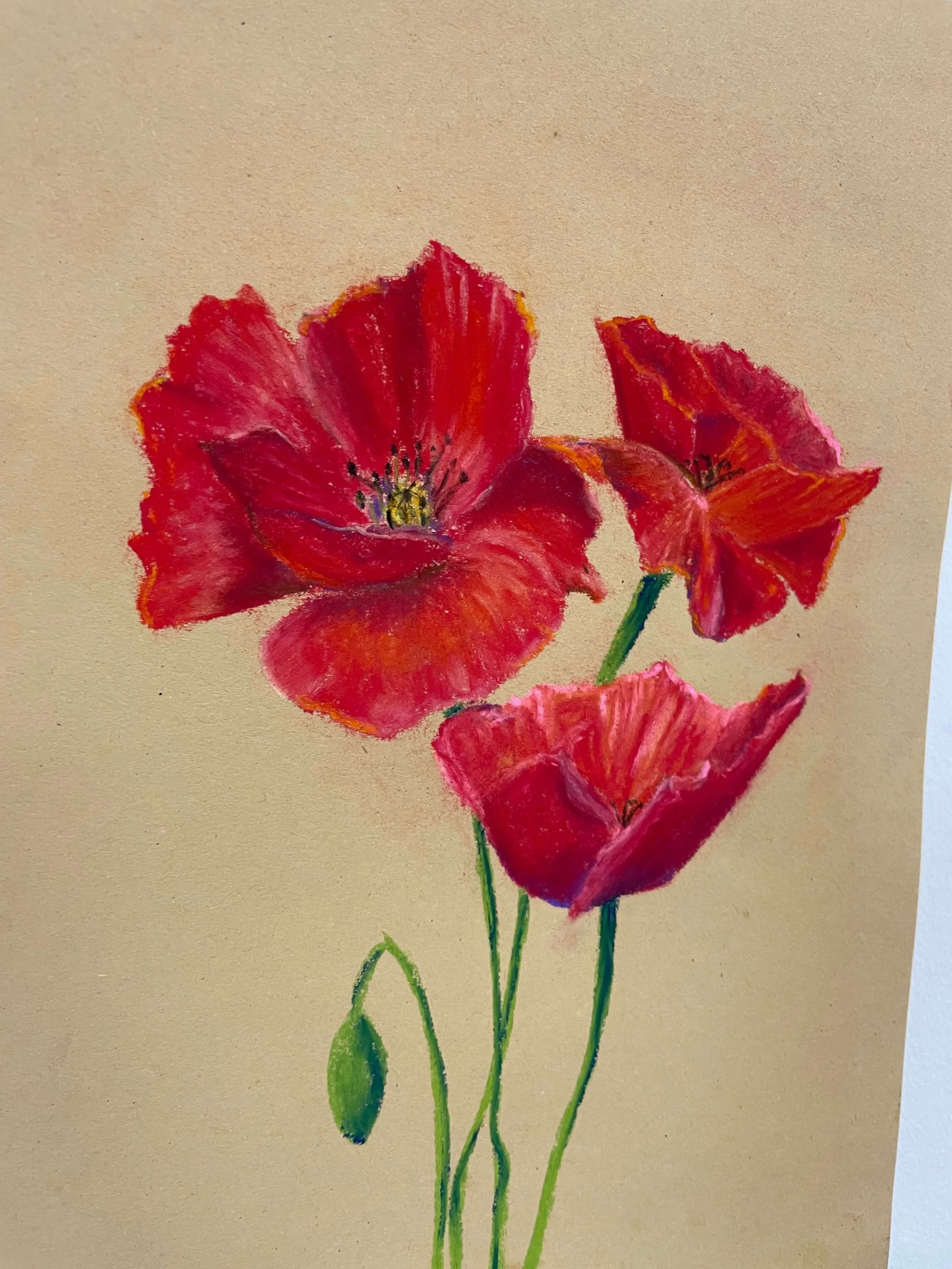 chalk pastel challenge 22 poppies kayleigh mccallum 3.jpeg