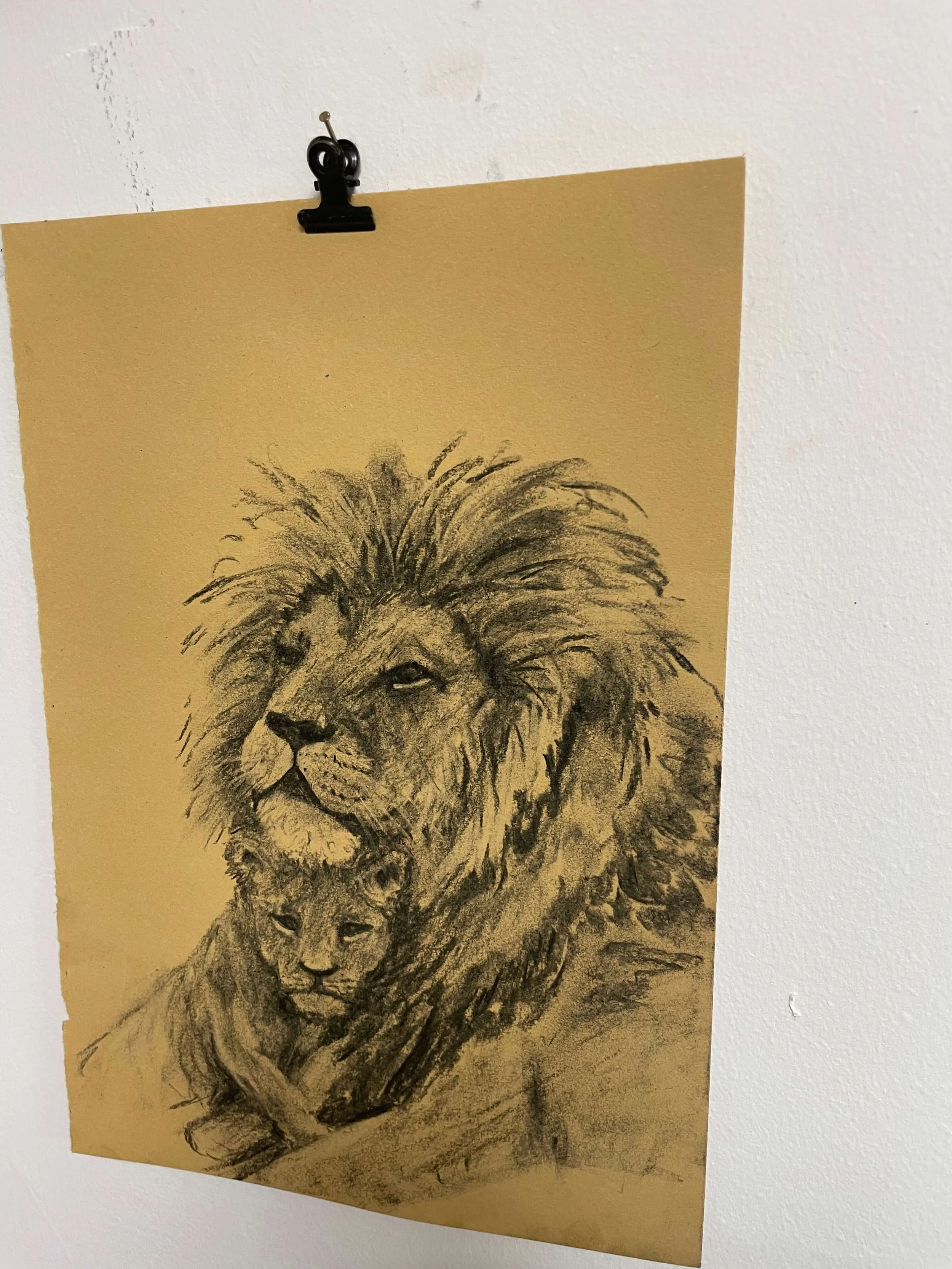 chalk pastel challenge 21 lions kayleigh mccallum 3.jpg