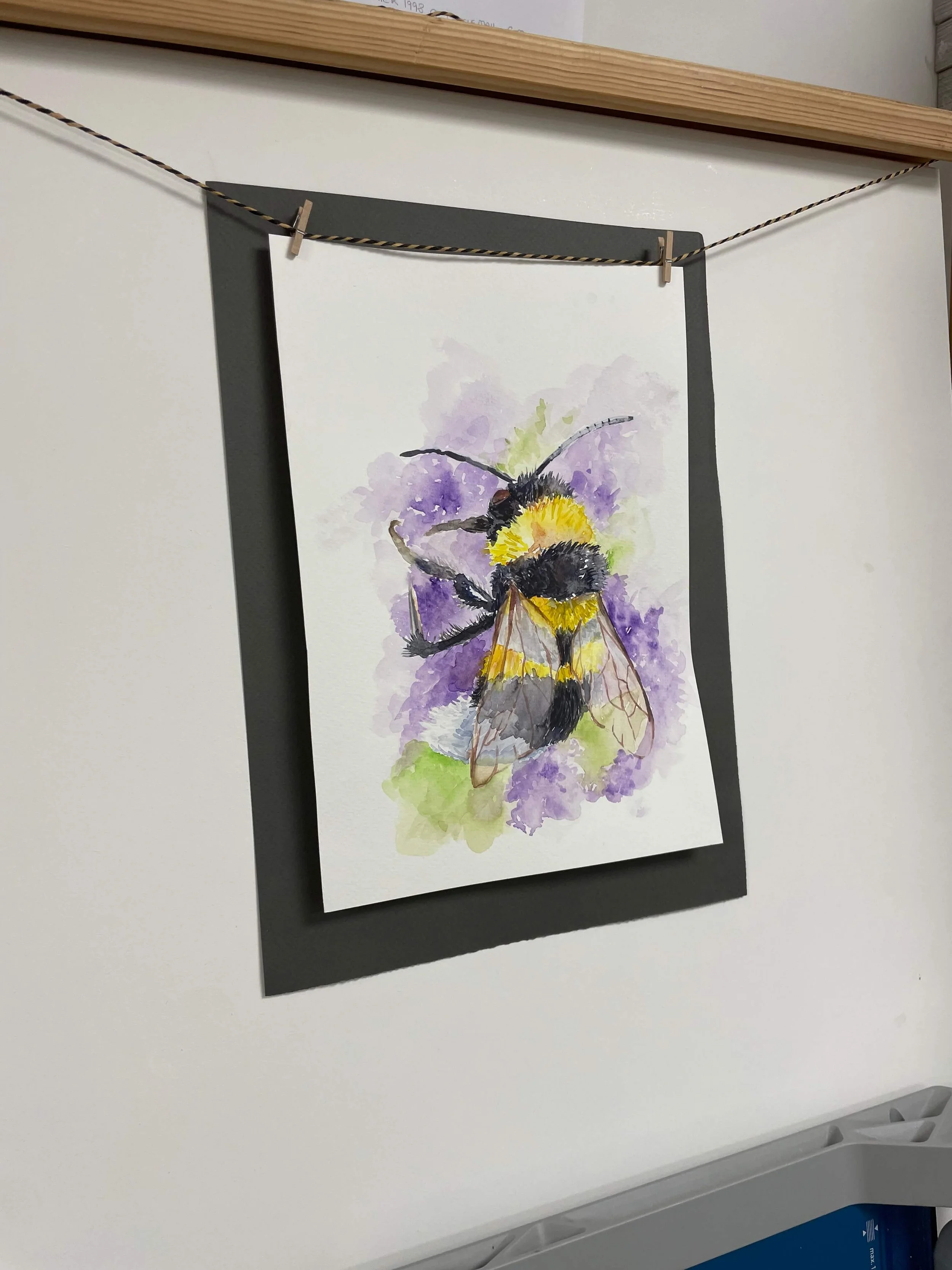 SS 5 bee kayleigh mccallum 4.jpeg