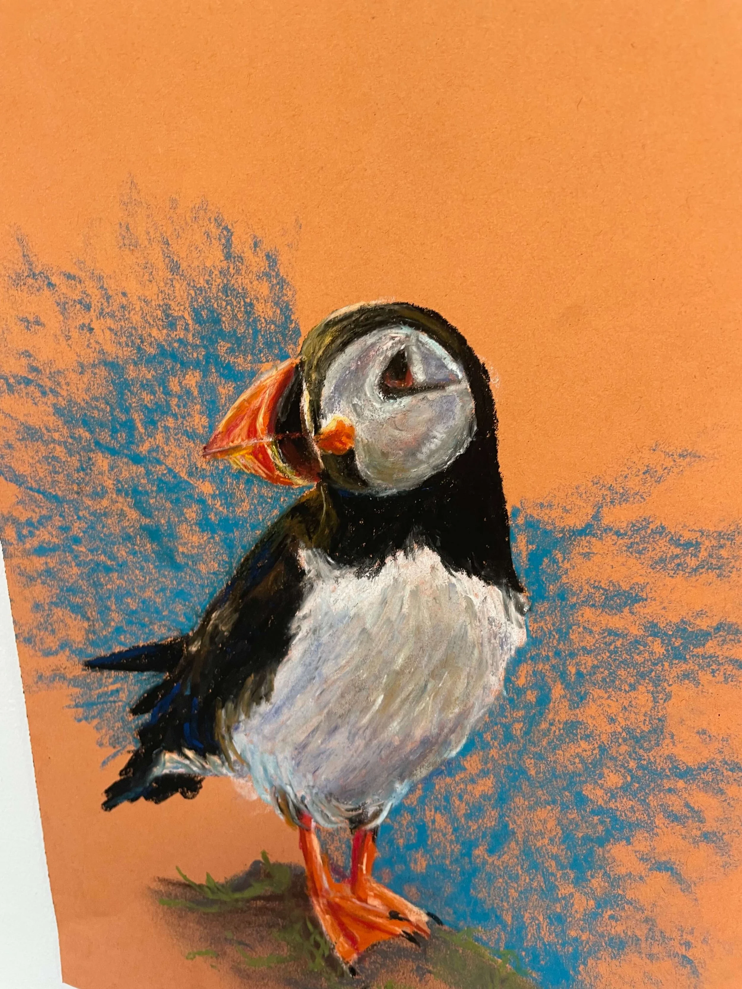 chalk pastel challenge 7 puffin kayleigh mccallum 3.jpeg