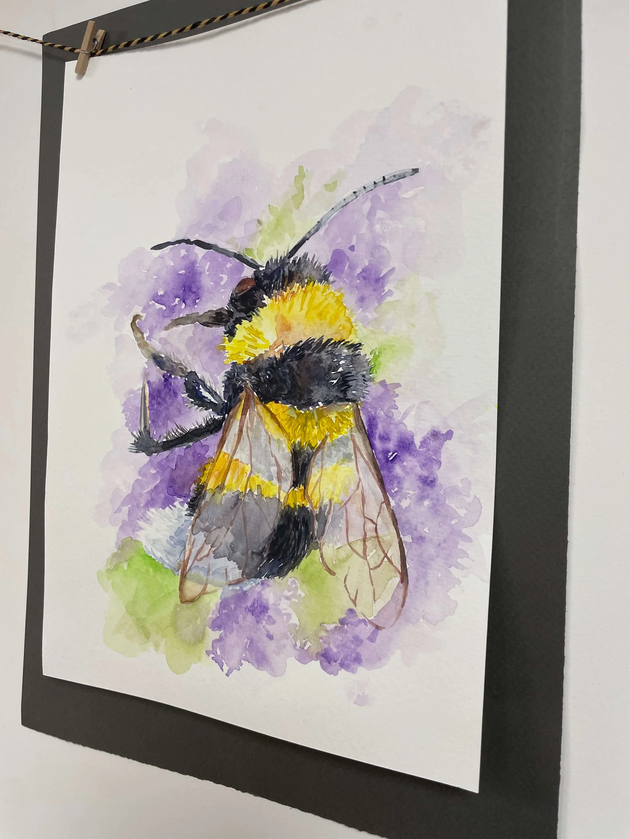 SS 5 bee kayleigh mccallum 2.jpeg