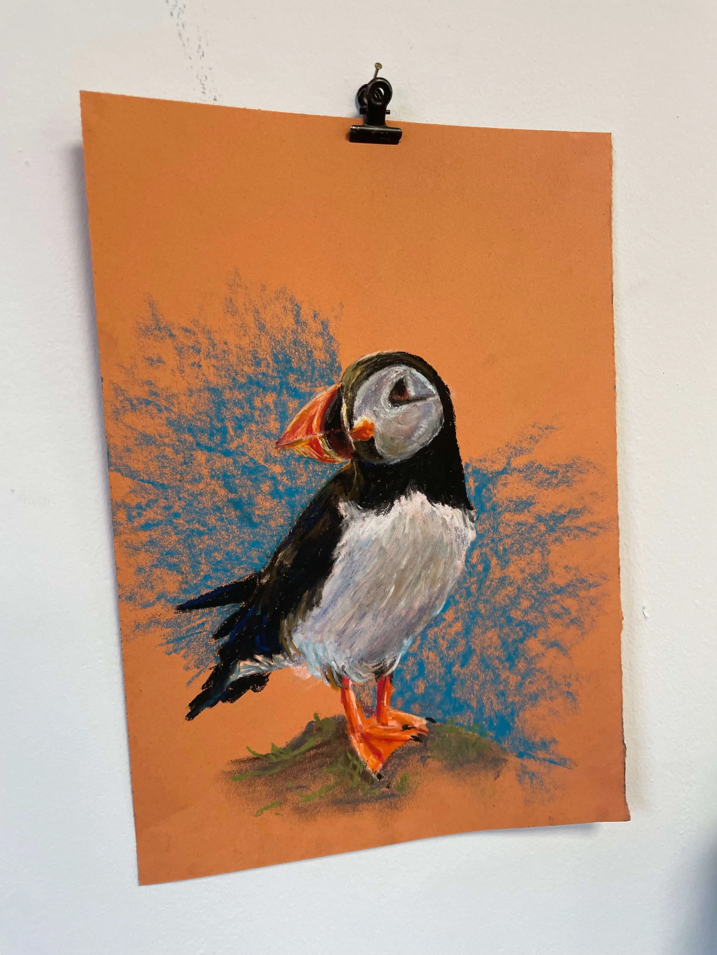 chalk pastel challenge 7 puffin kayleigh mccallum 2.jpeg